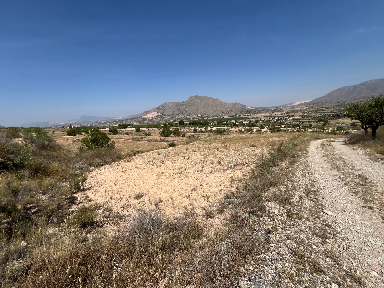 Resale - Land in Barbarroja -  - Alicante