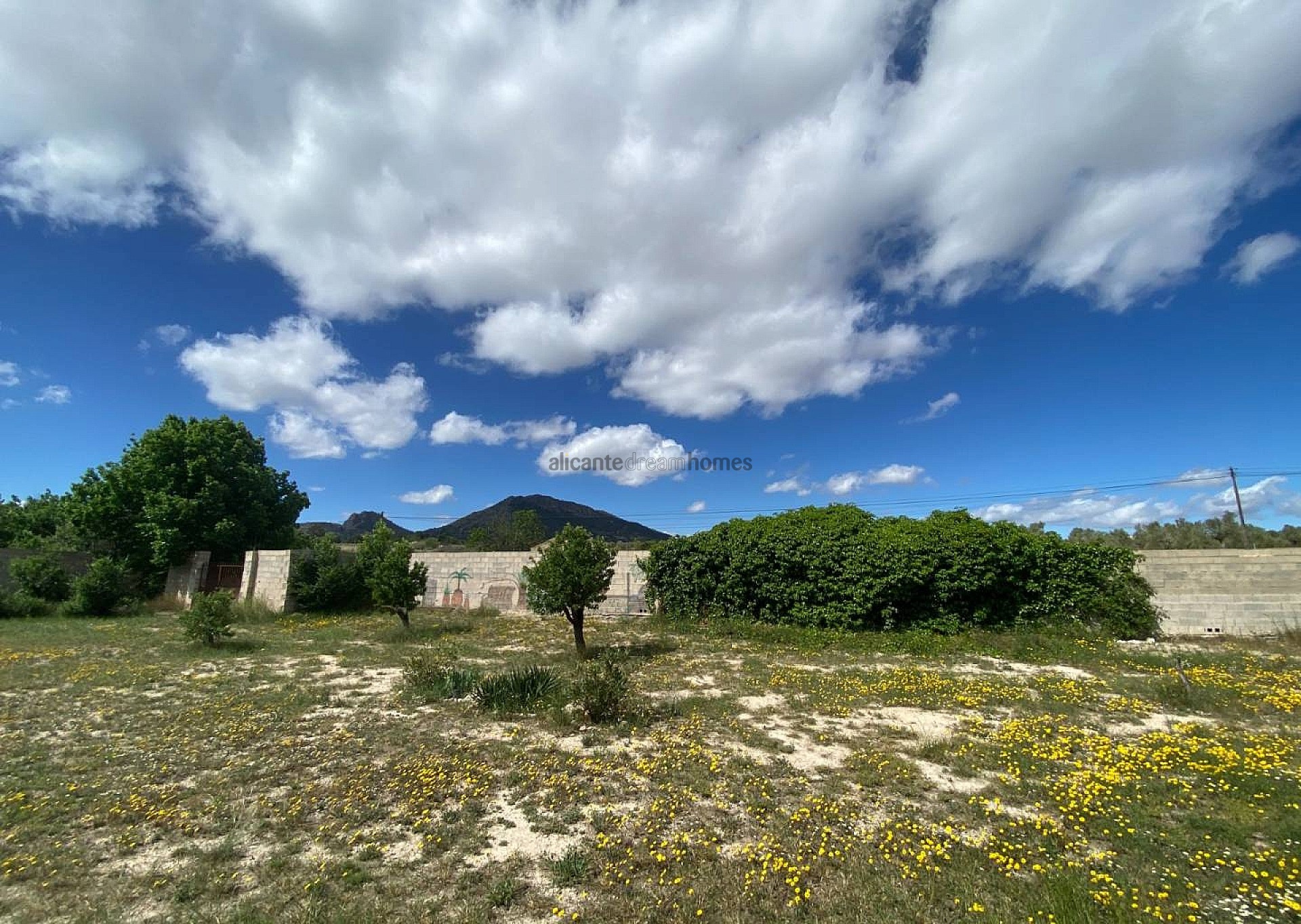 Resale - 6 Bedroom 3 Bathroom Country house in Sax -  - Alicante
