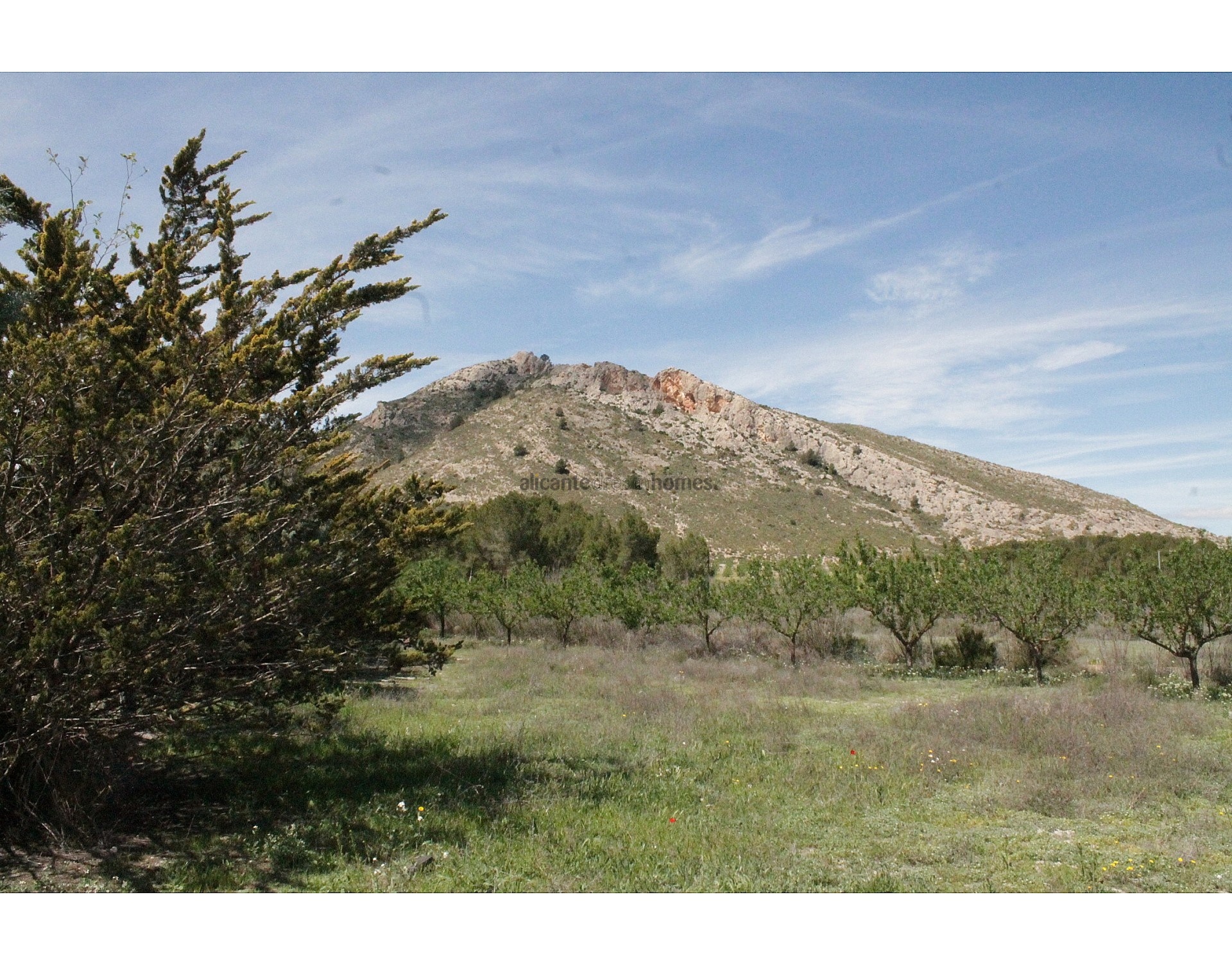 Resale - 3 Bedroom 2 Bathroom Country house in Villena -  - Alicante