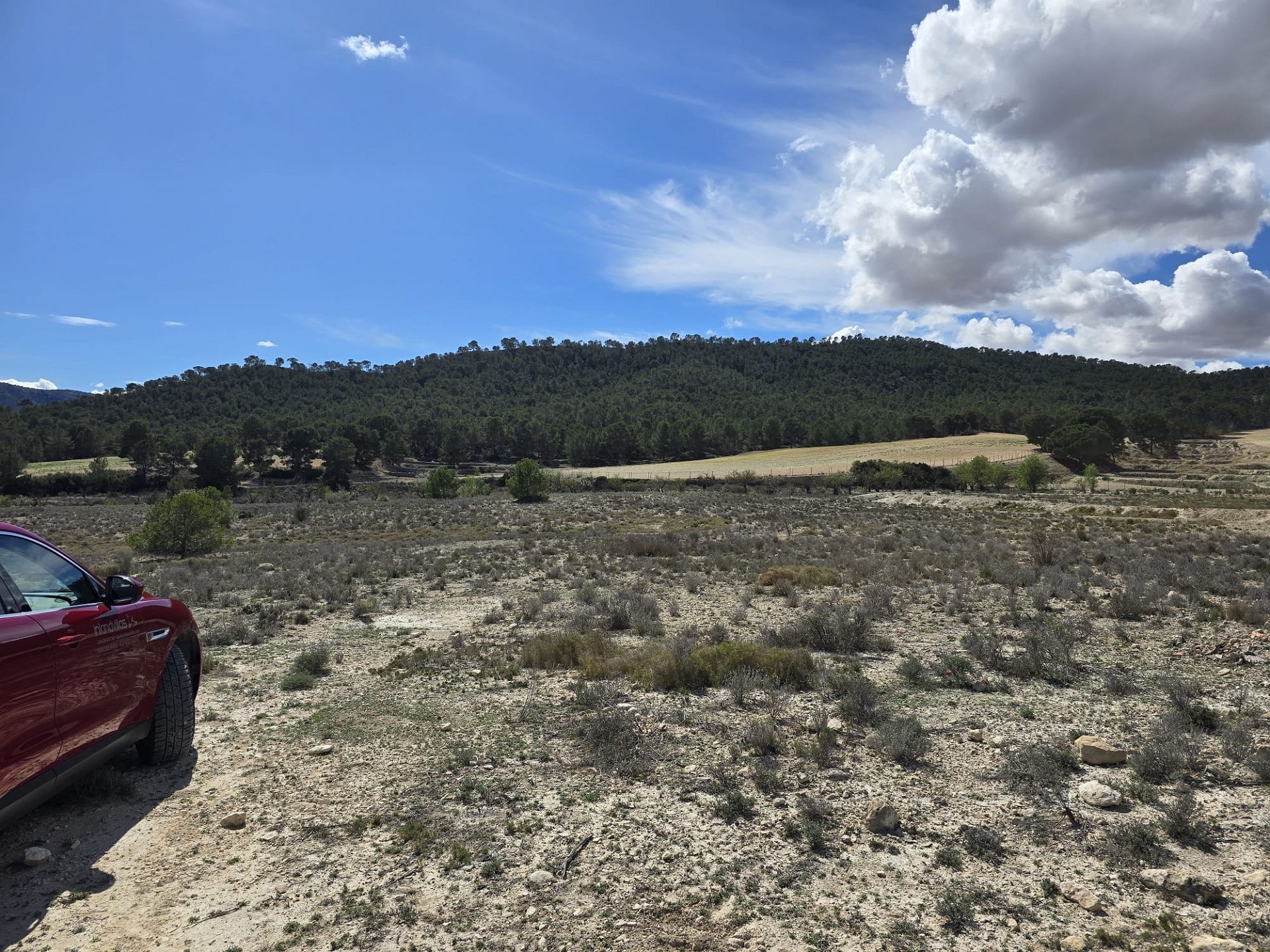Resale - Land in Salinas -  - Alicante