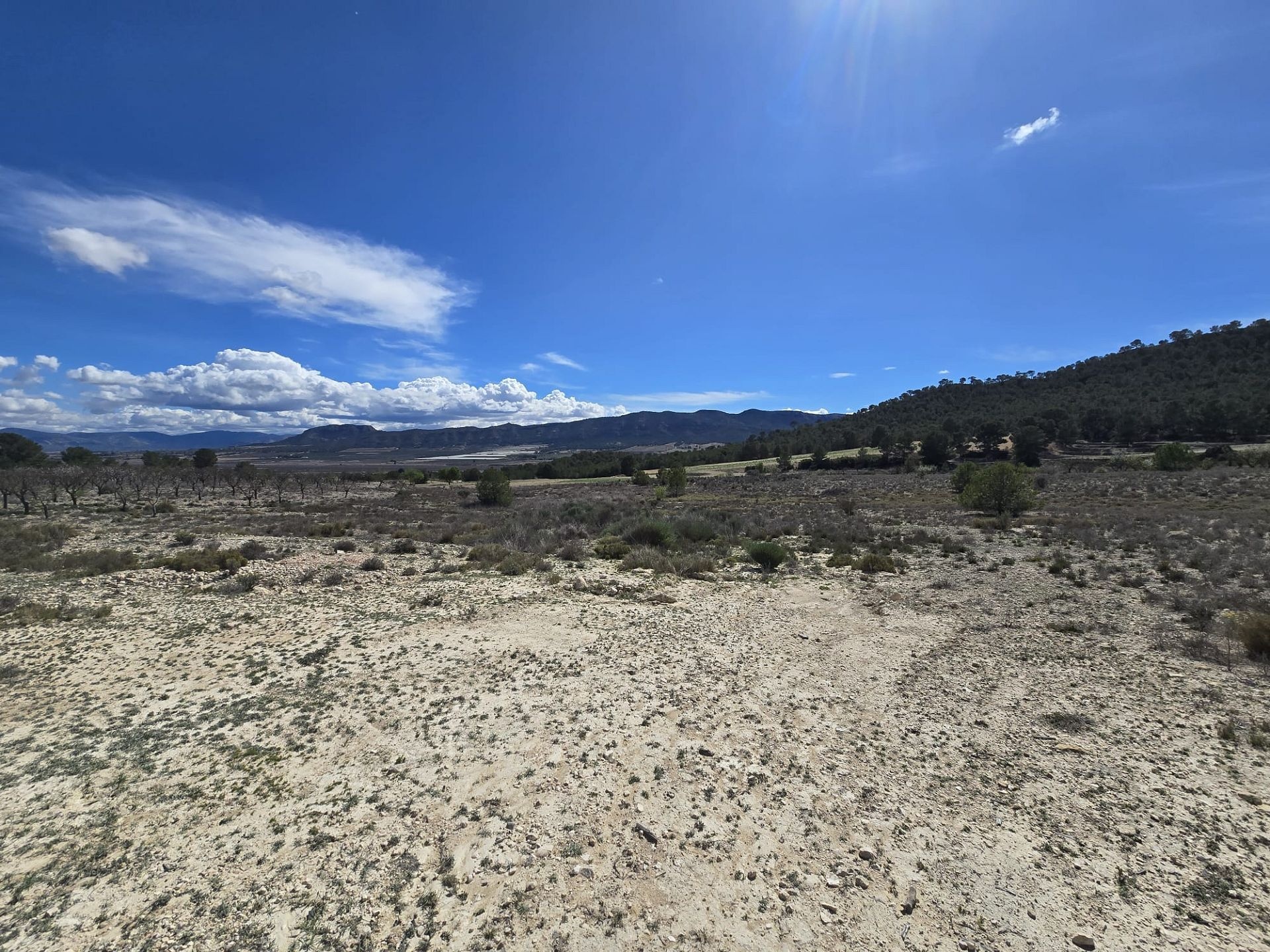 Resale - Land in Salinas -  - Alicante