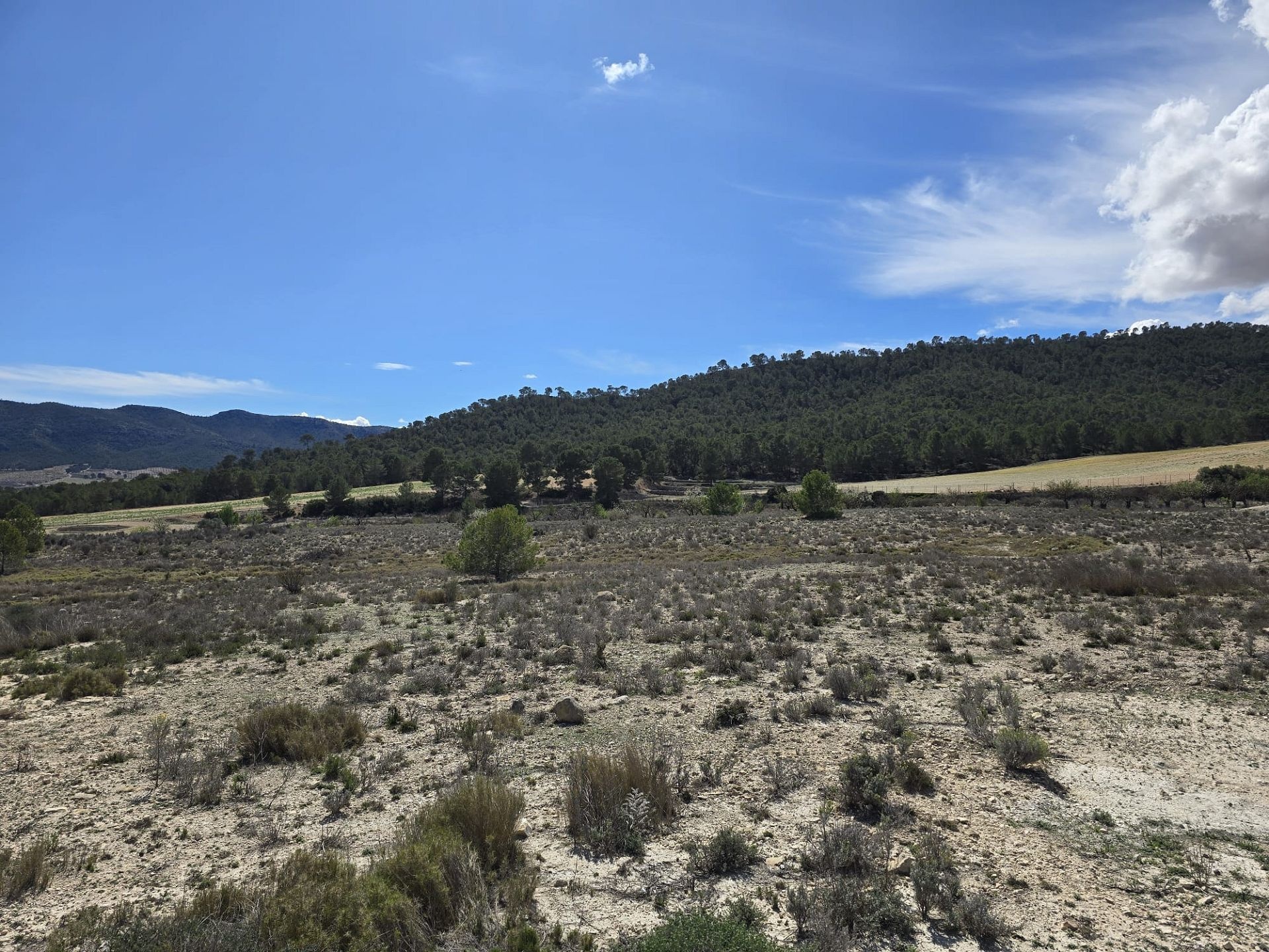 Resale - Land in Salinas -  - Alicante