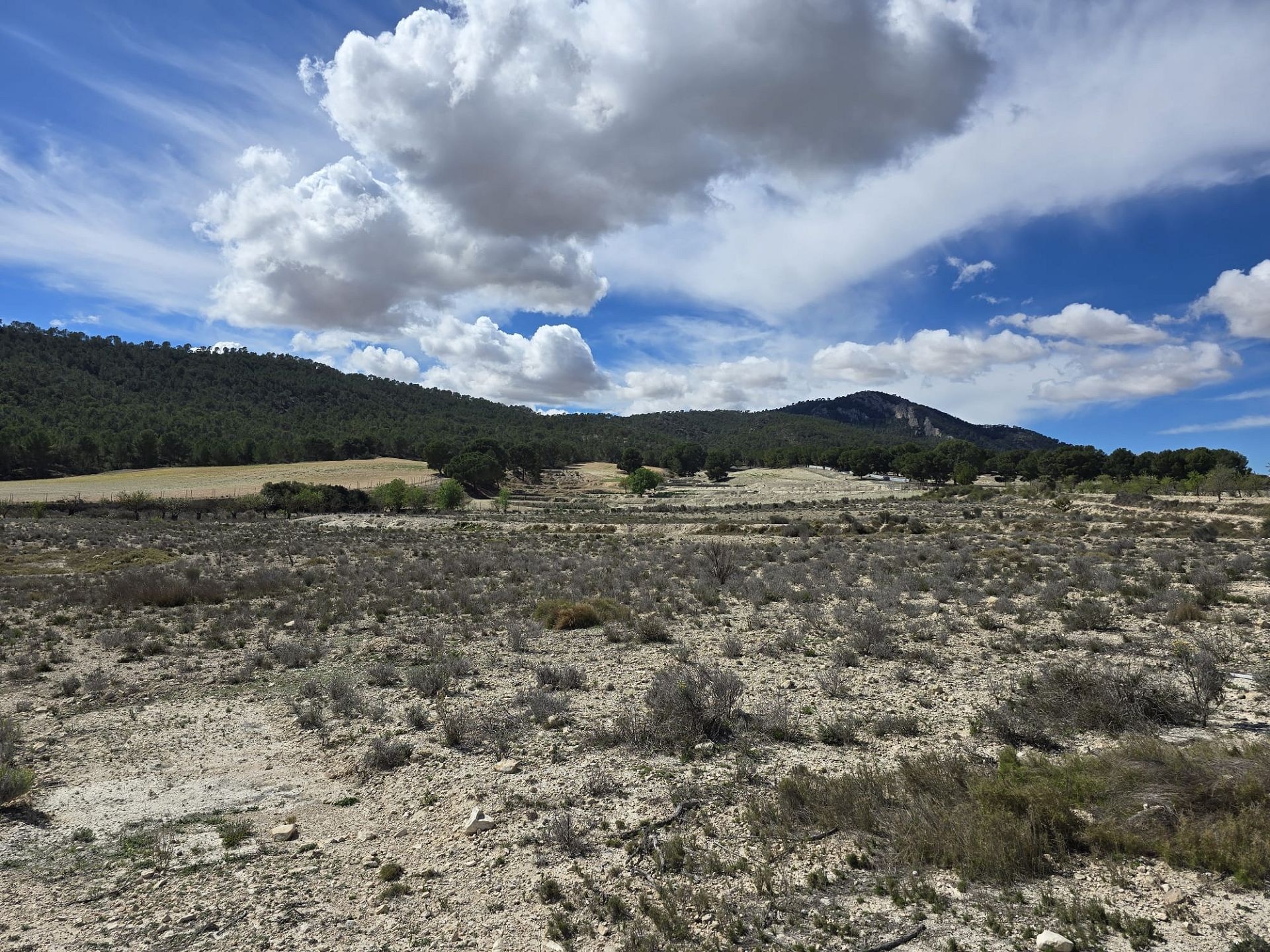 Resale - Land in Salinas -  - Alicante