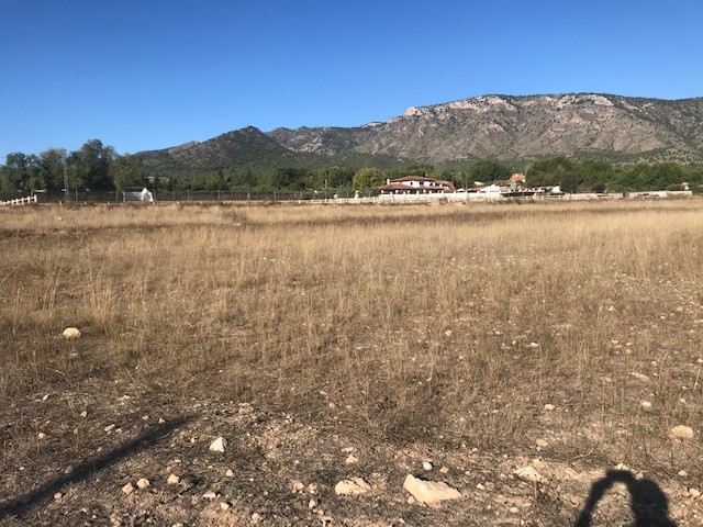 Resale - Land in Salinas - , Salinas, Alicante, Spain - Alicante