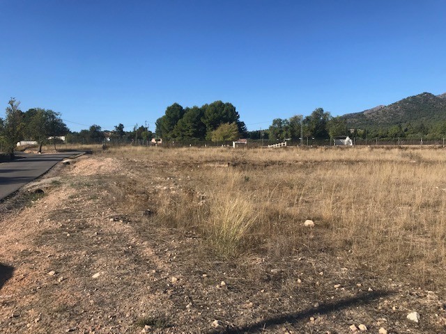 Resale - Land in Salinas - , Salinas, Alicante, Spain - Alicante