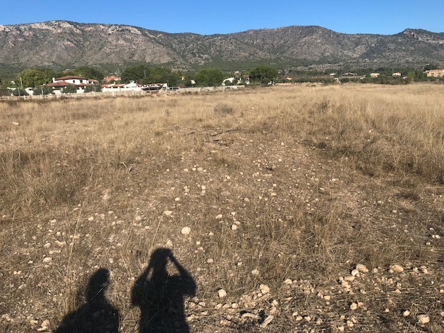 Resale - Land in Salinas - , Salinas, Alicante, Spain - Alicante
