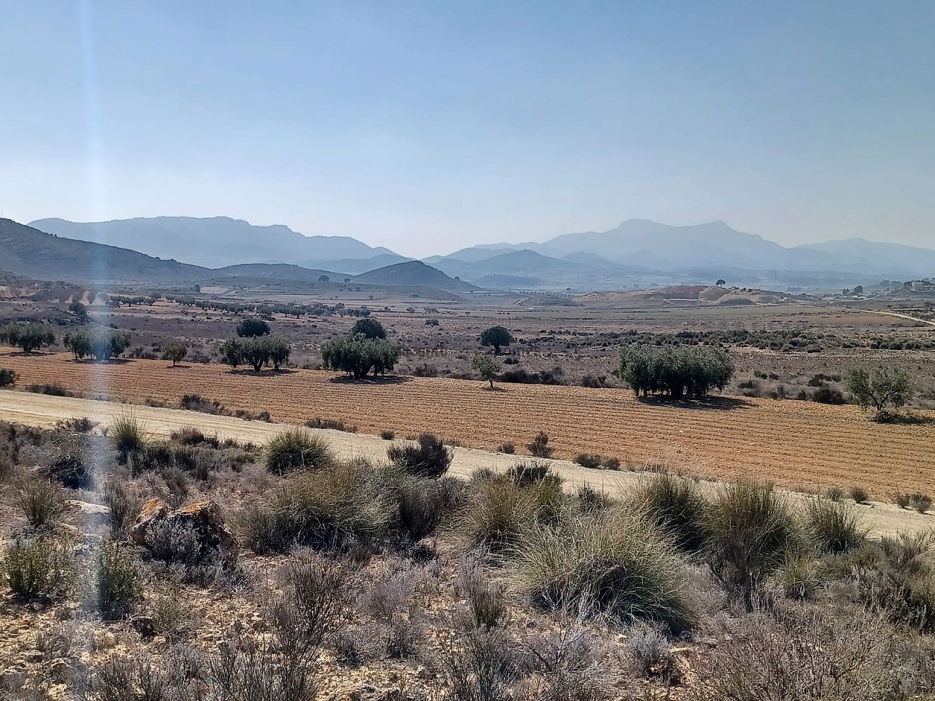 Resale - Land in Pinoso -  - Alicante