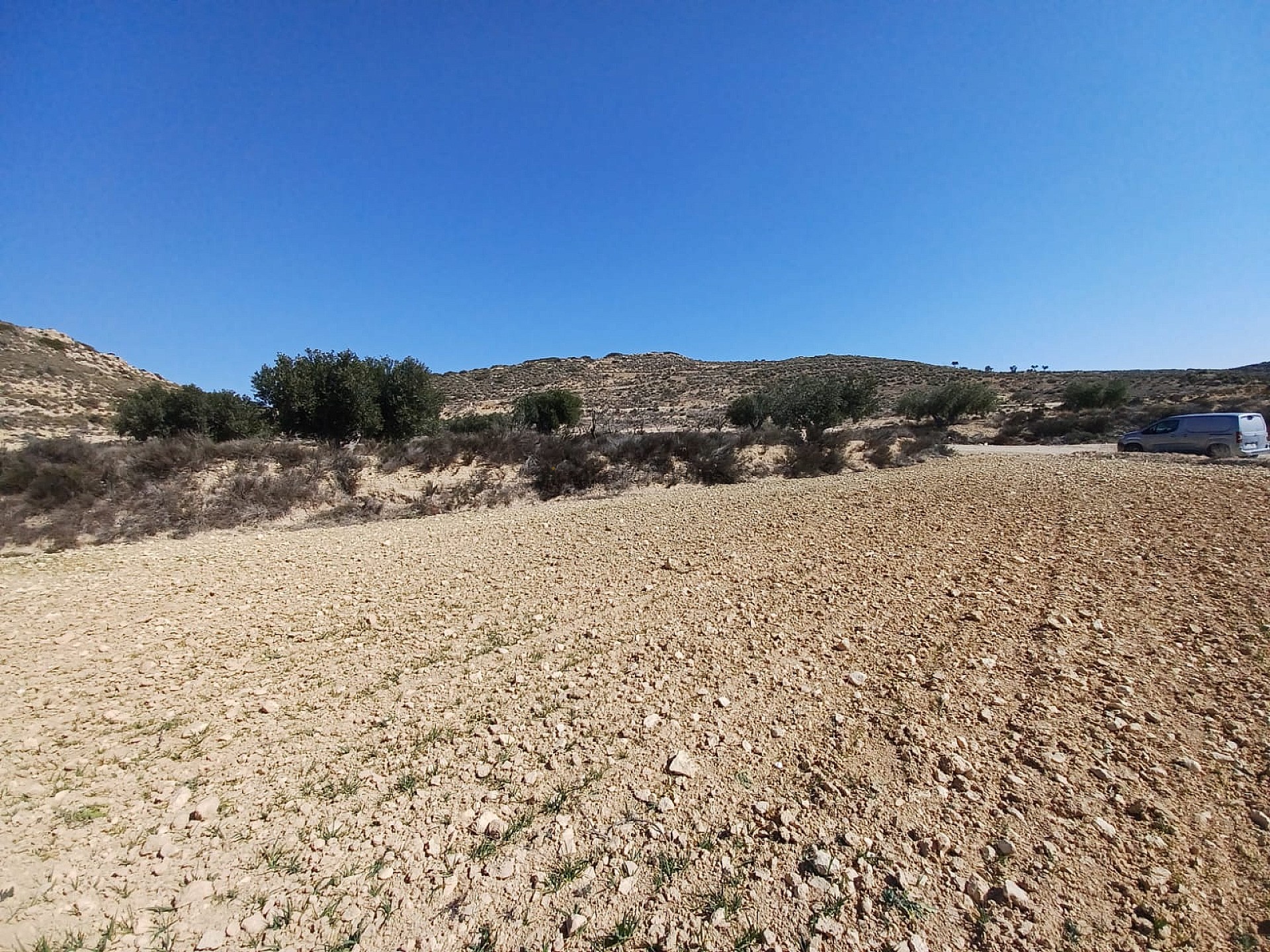 Resale - Land in Pinoso -  - Alicante
