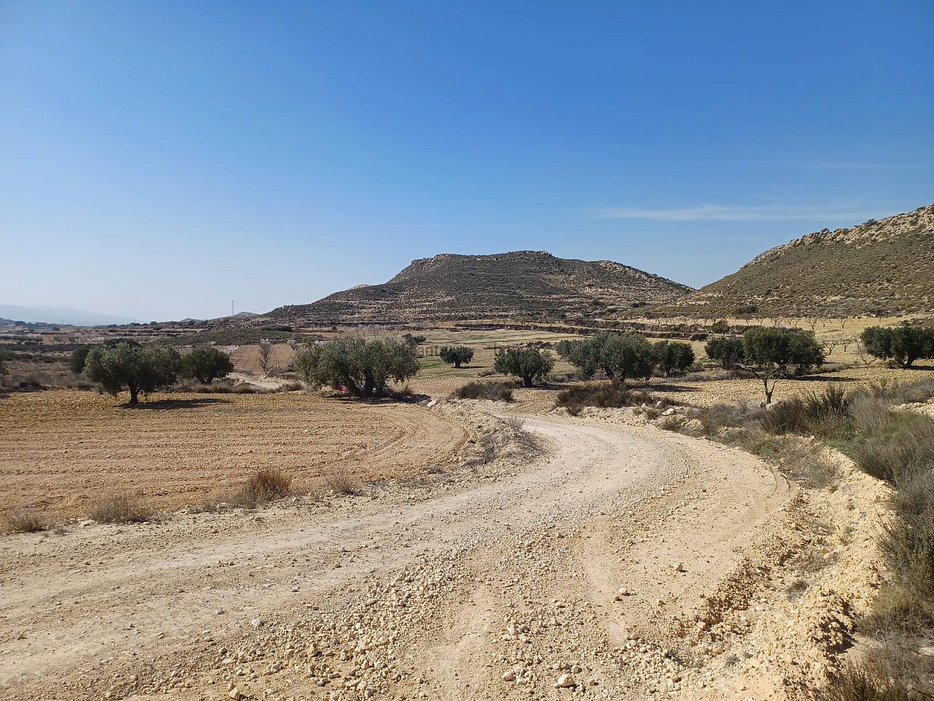 Resale - Land in Pinoso -  - Alicante