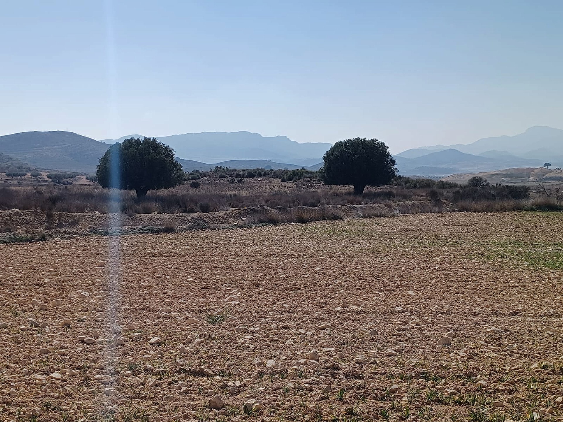 Resale - Land in Pinoso -  - Alicante
