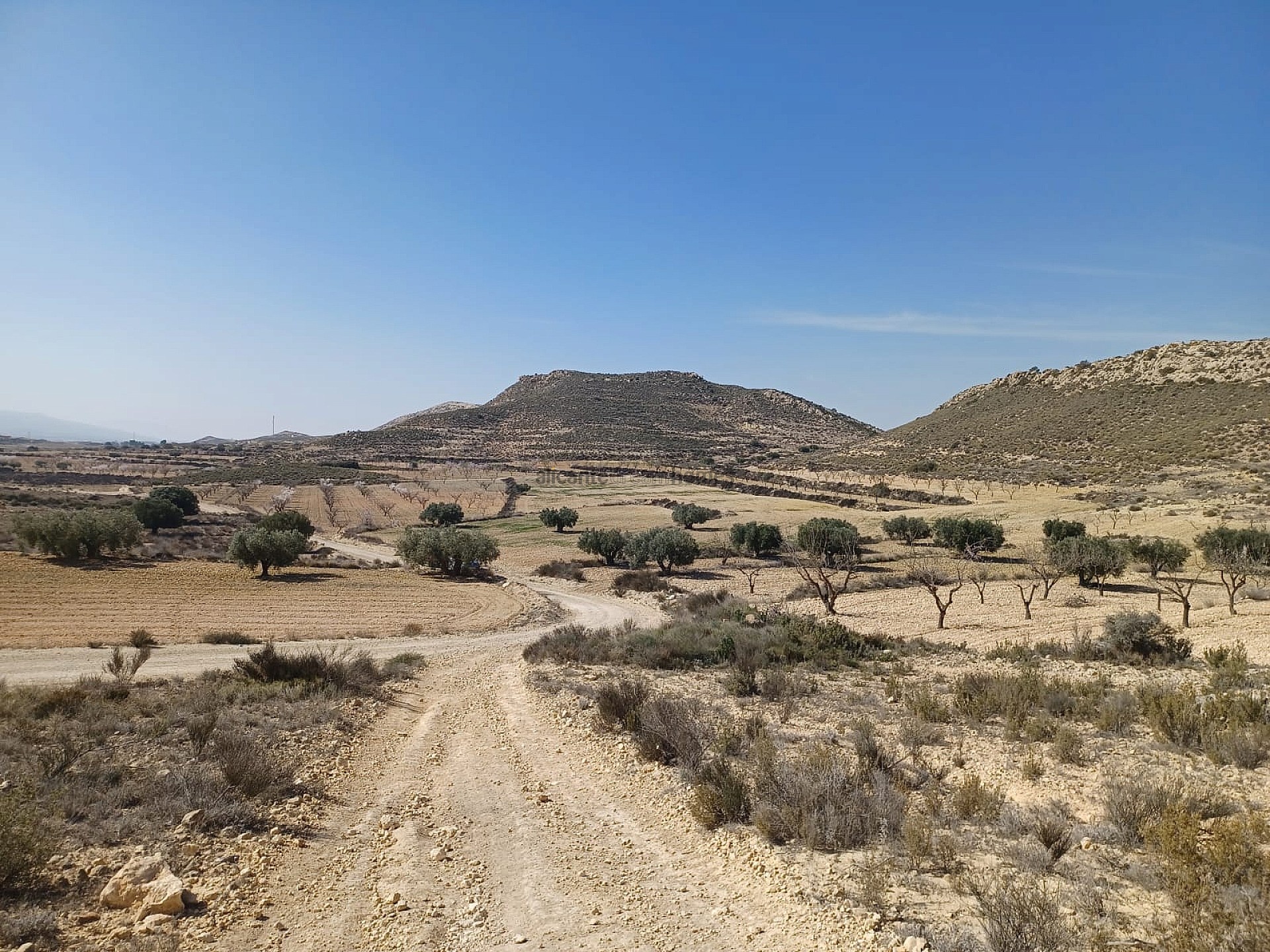 Resale - Land in Pinoso -  - Alicante