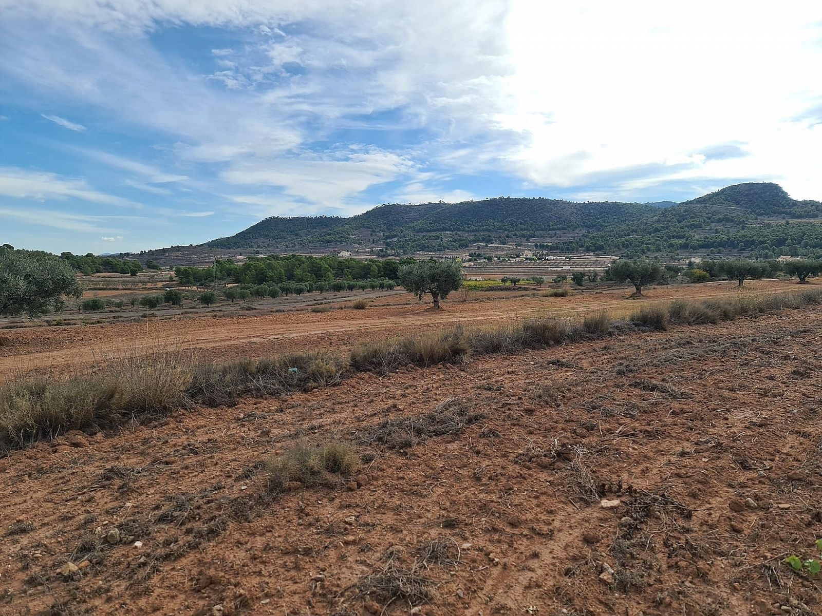 Resale - Land in Pinoso -  - Alicante