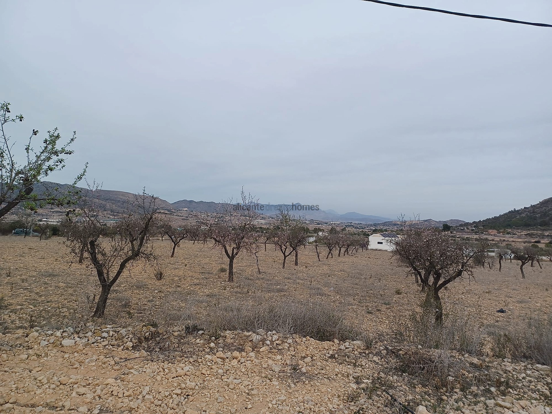 Resale - Land in La Romana -  - Alicante
