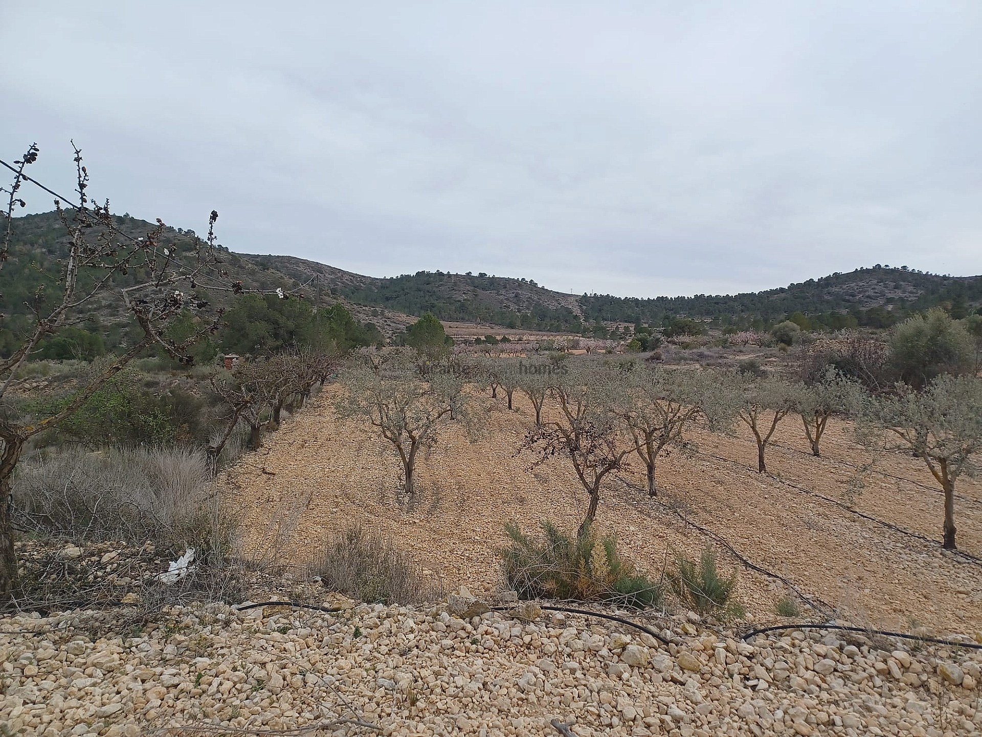 Resale - Land in La Romana -  - Alicante