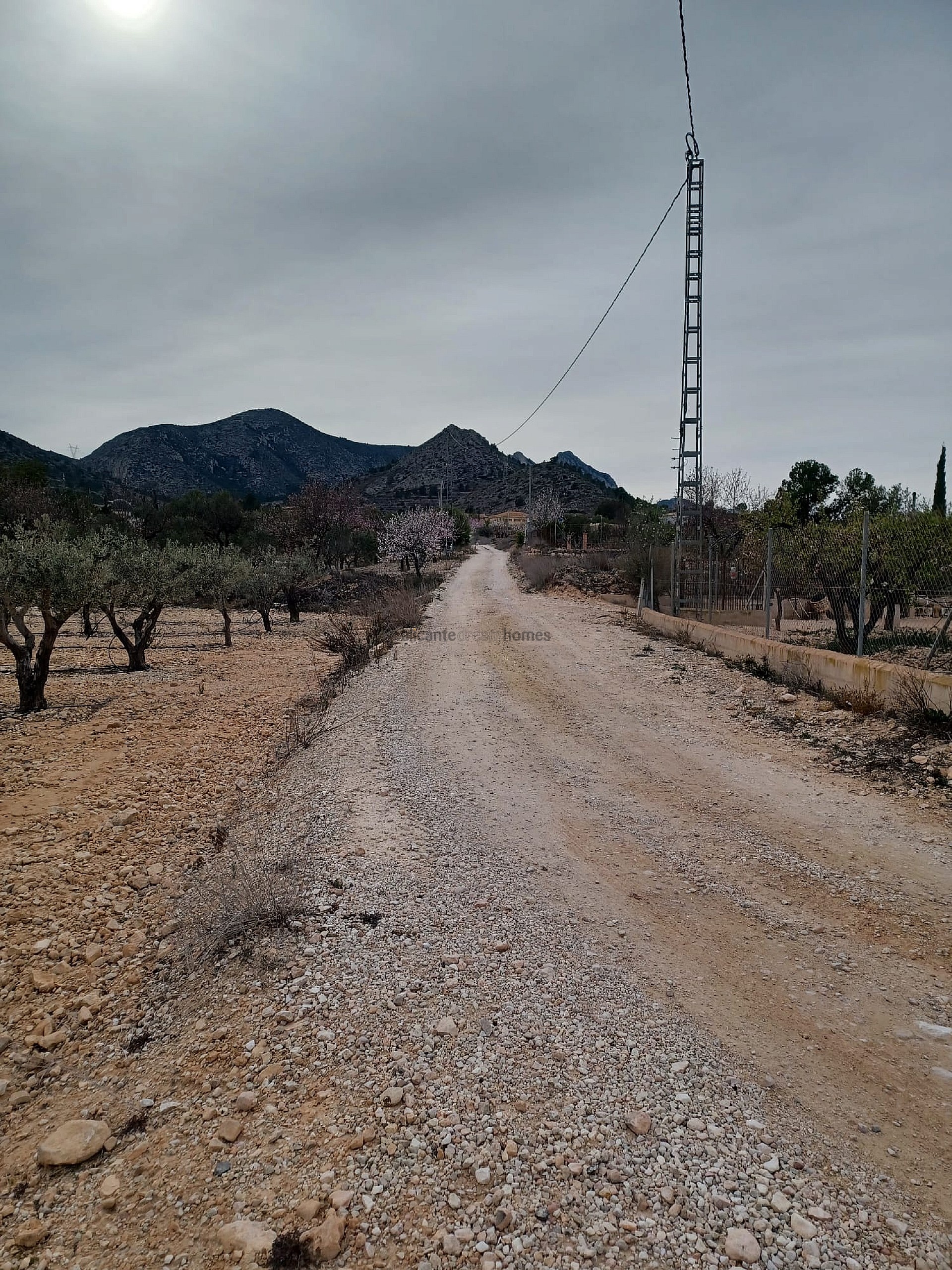 Resale - Land in La Romana -  - Alicante