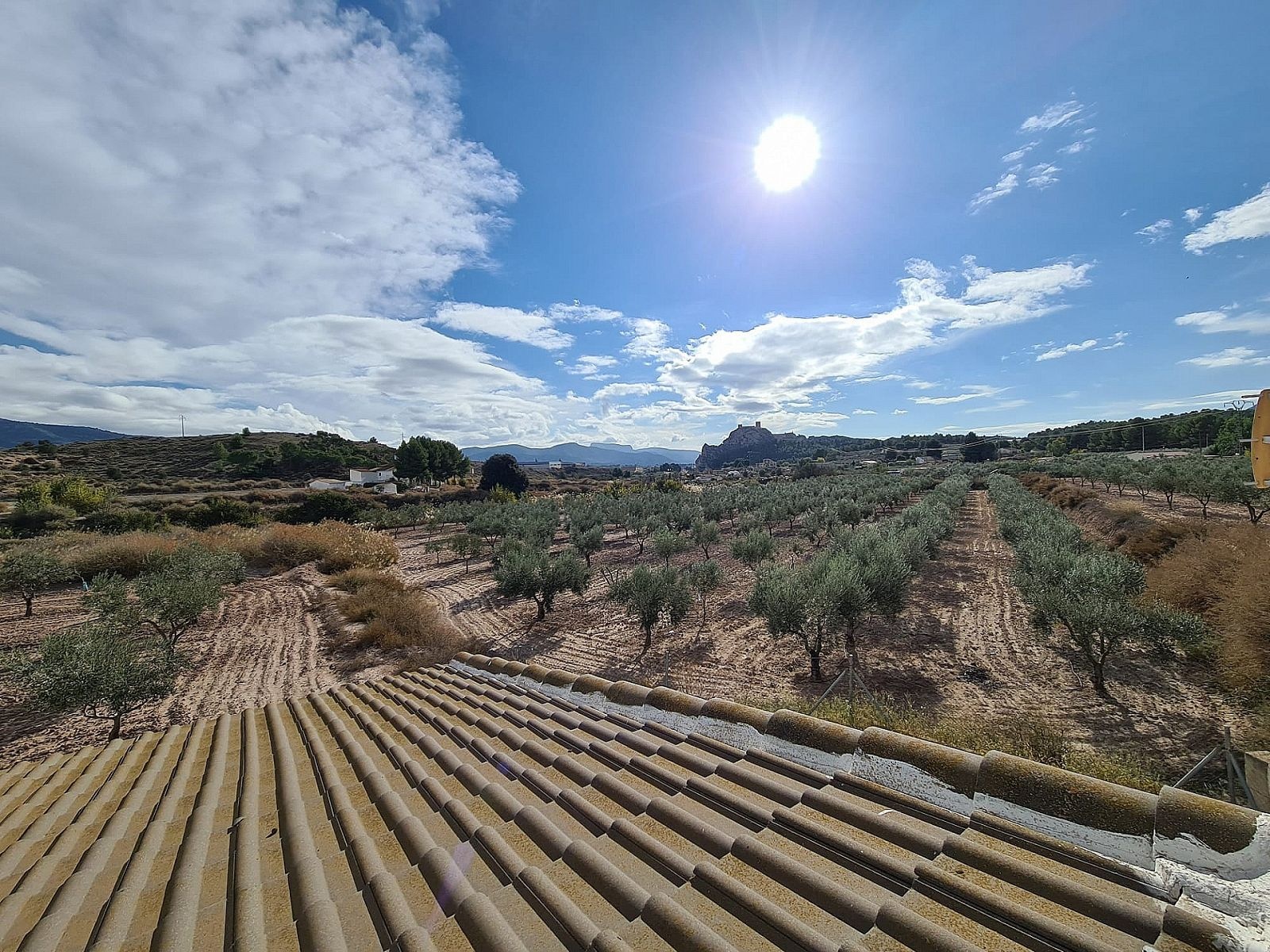 Resale - 4 Bedroom 2 Bathroom Country house in Sax -  - Alicante