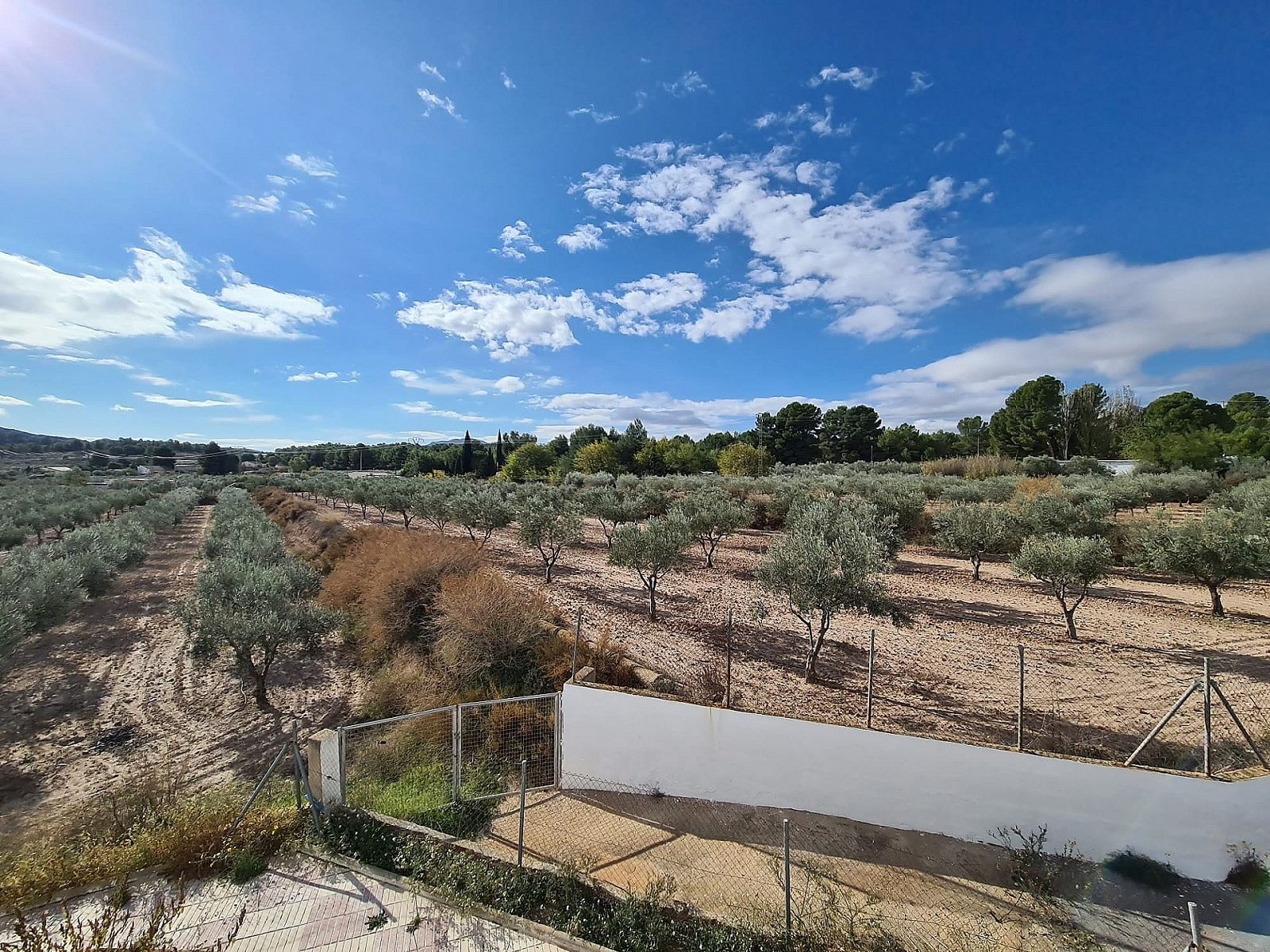 Resale - 4 Bedroom 2 Bathroom Country house in Sax -  - Alicante