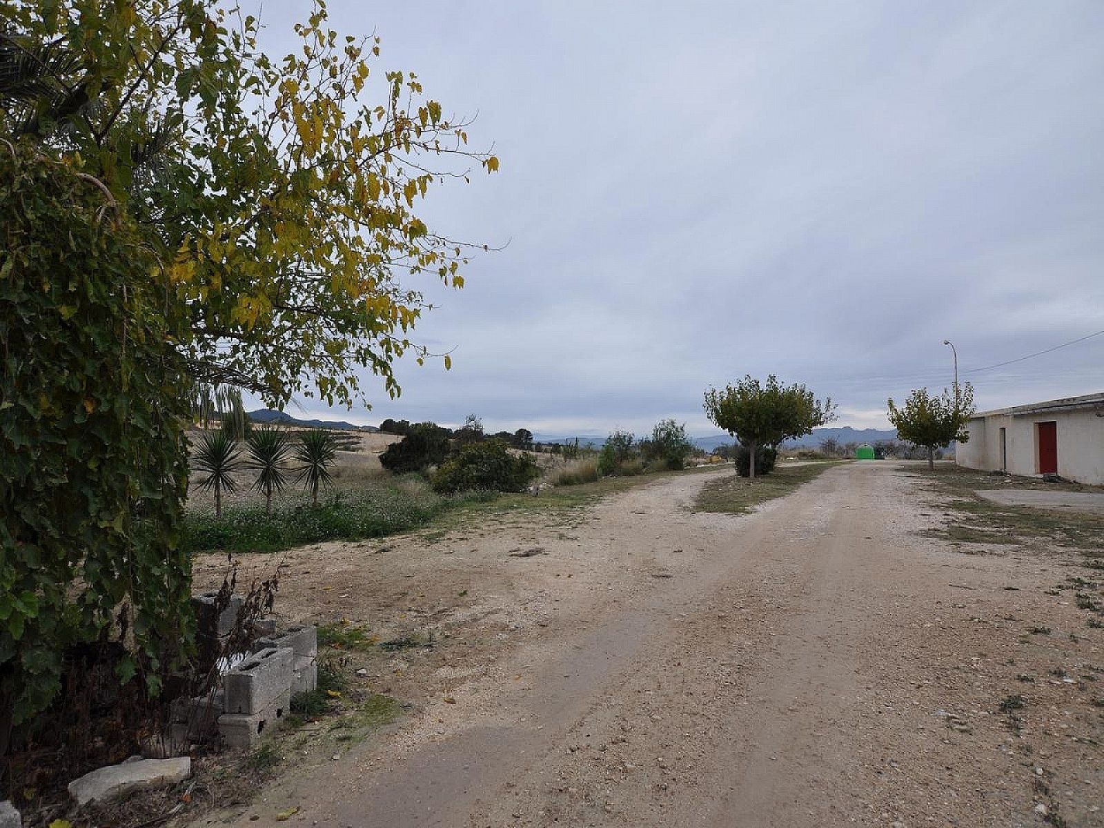 Resale - 5 Bedroom Cave House in Jumilla -  - Murcia