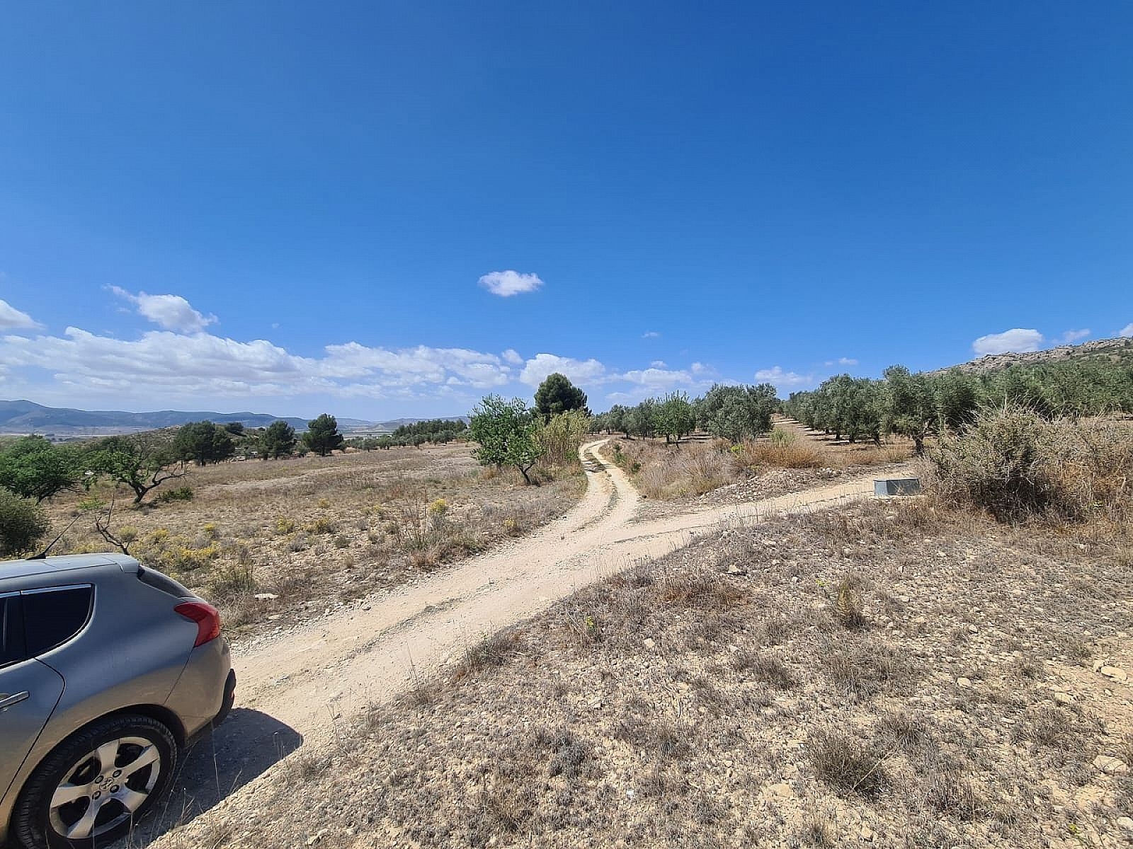 Resale - Land in Sax -  - Alicante