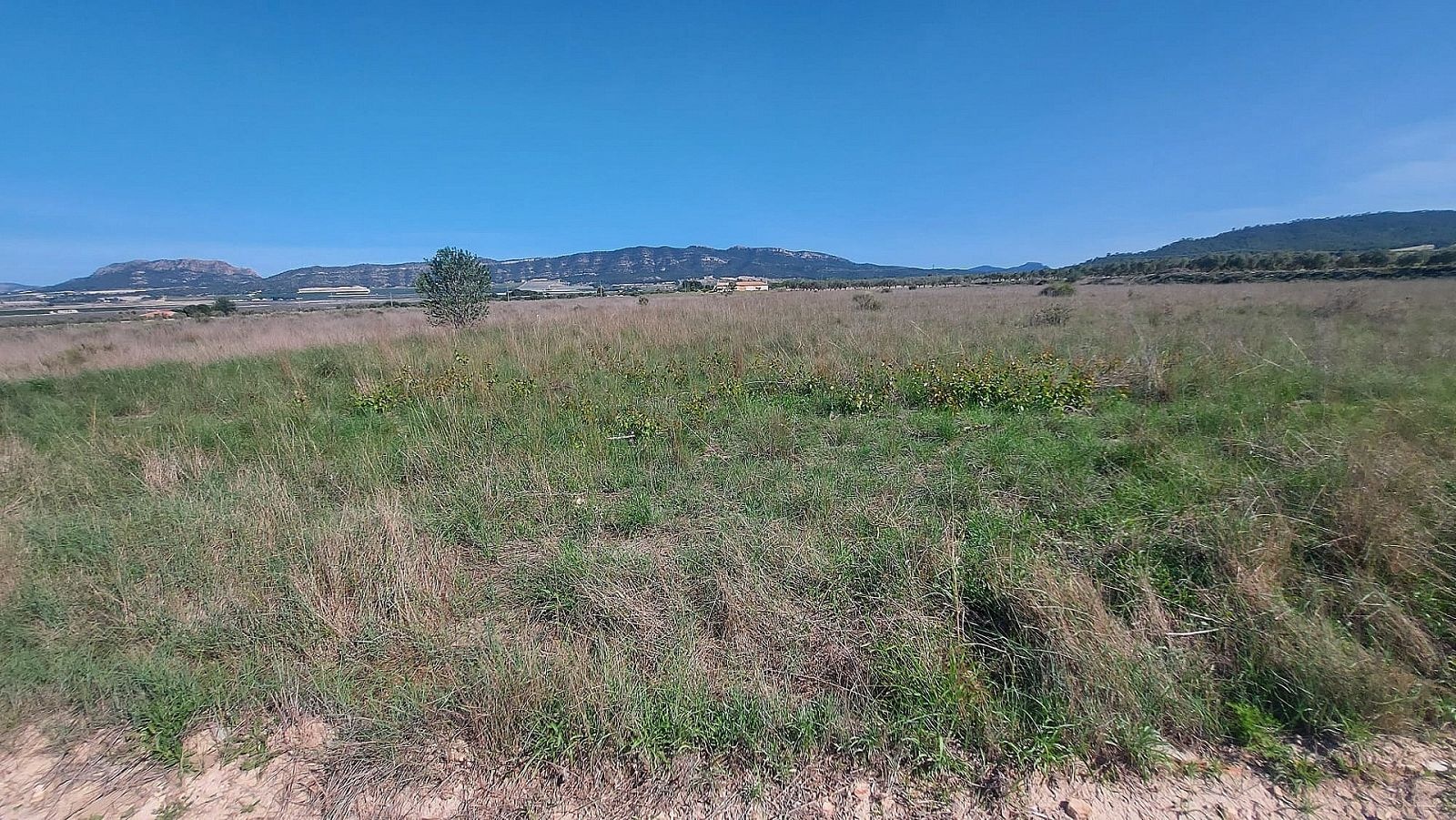 Resale - Land in Salinas -  - Alicante