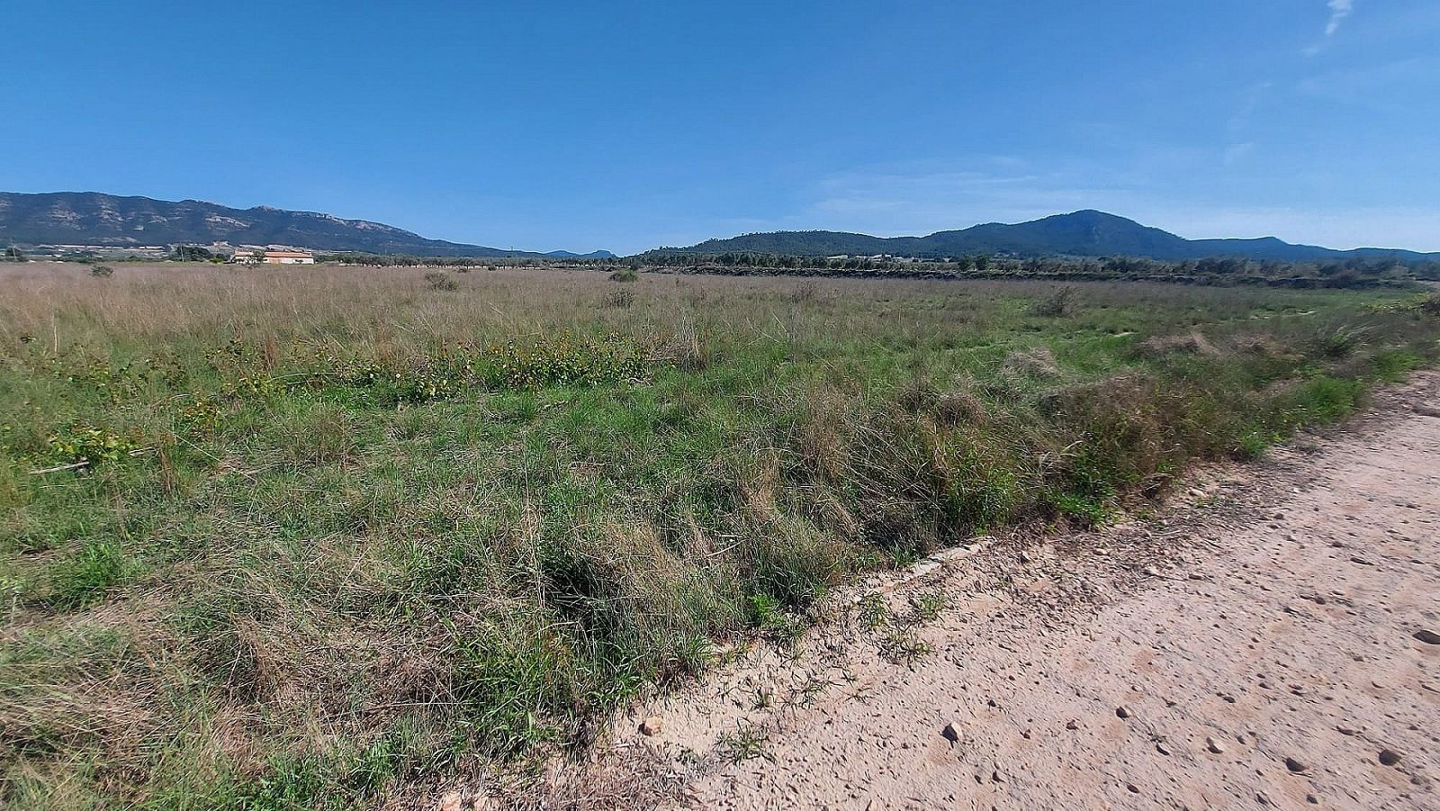 Resale - Land in Salinas -  - Alicante