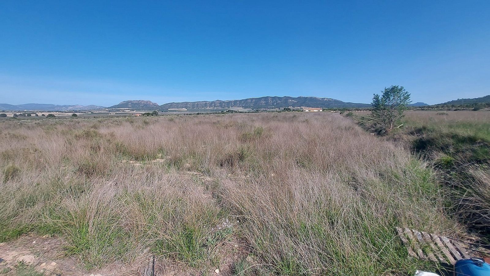 Resale - Land in Salinas -  - Alicante