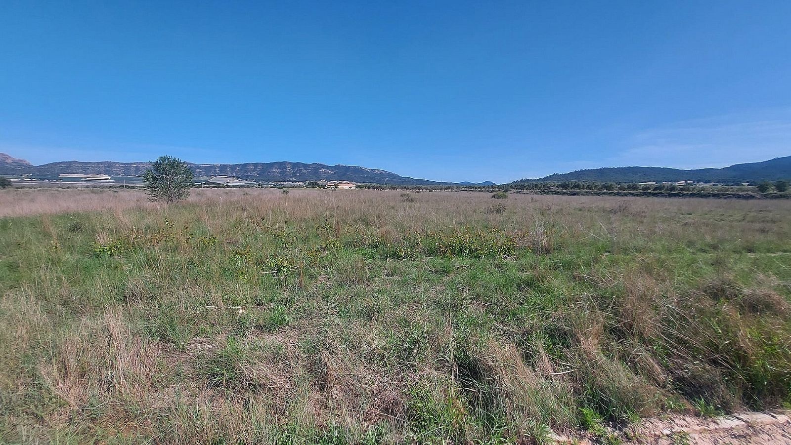 Resale - Land in Salinas -  - Alicante