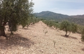 Land in Salinas
