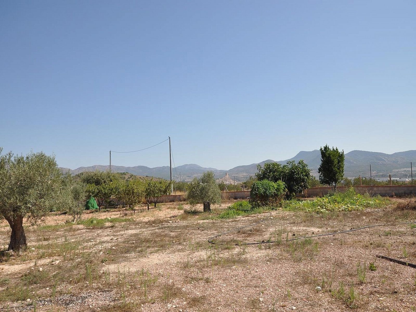 Resale - 8 Bedroom 3 Bathroom Villa in Sax -  - Alicante