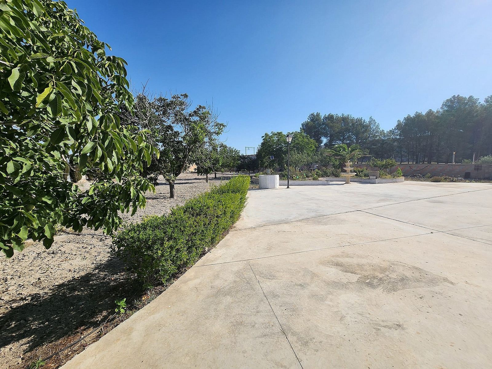 Resale - 7 Bedroom 2 Bathroom Country house in Villena -  - Alicante