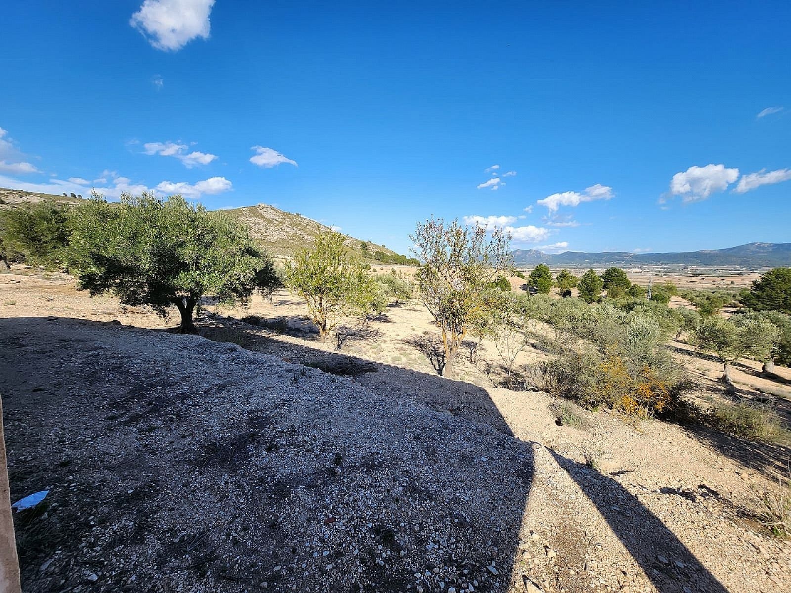 Resale - 1 Bedroom Country house in Villena -  - Alicante