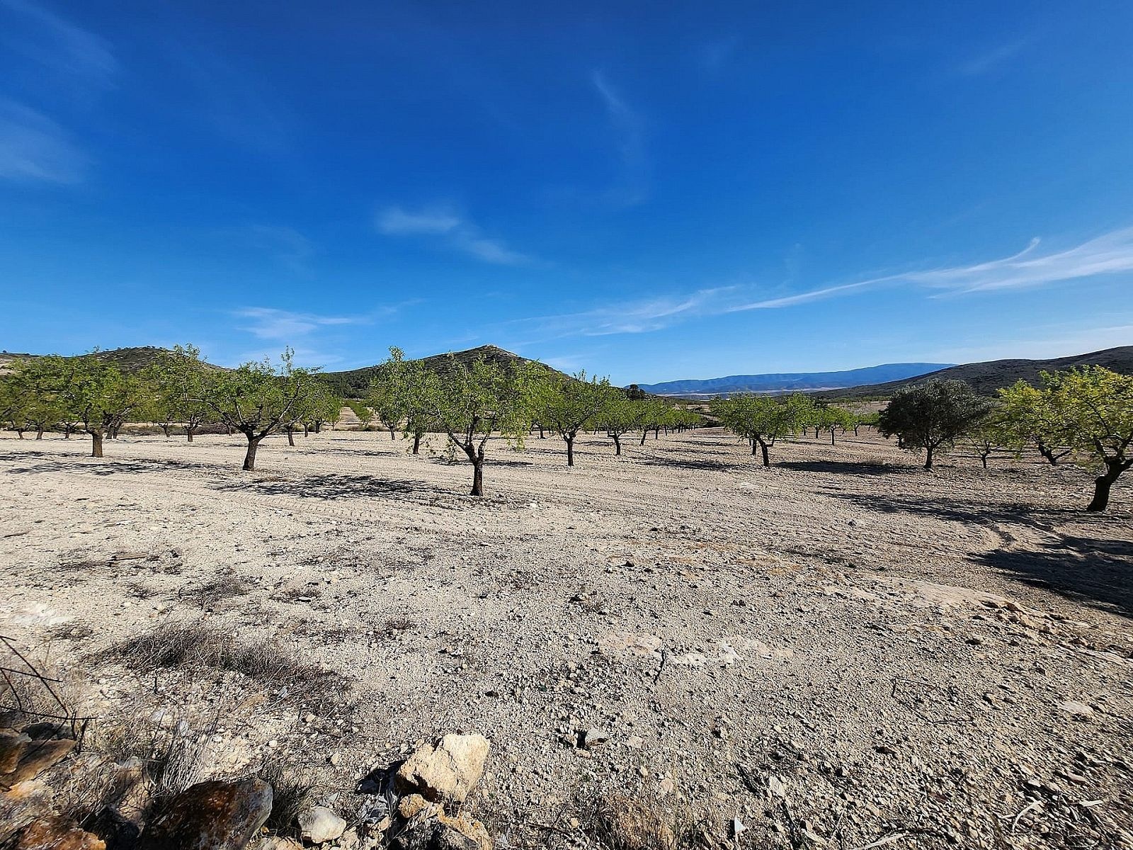 Resale - 5 Bedroom 1 Bathroom Country house in Caudete -  - Albacete