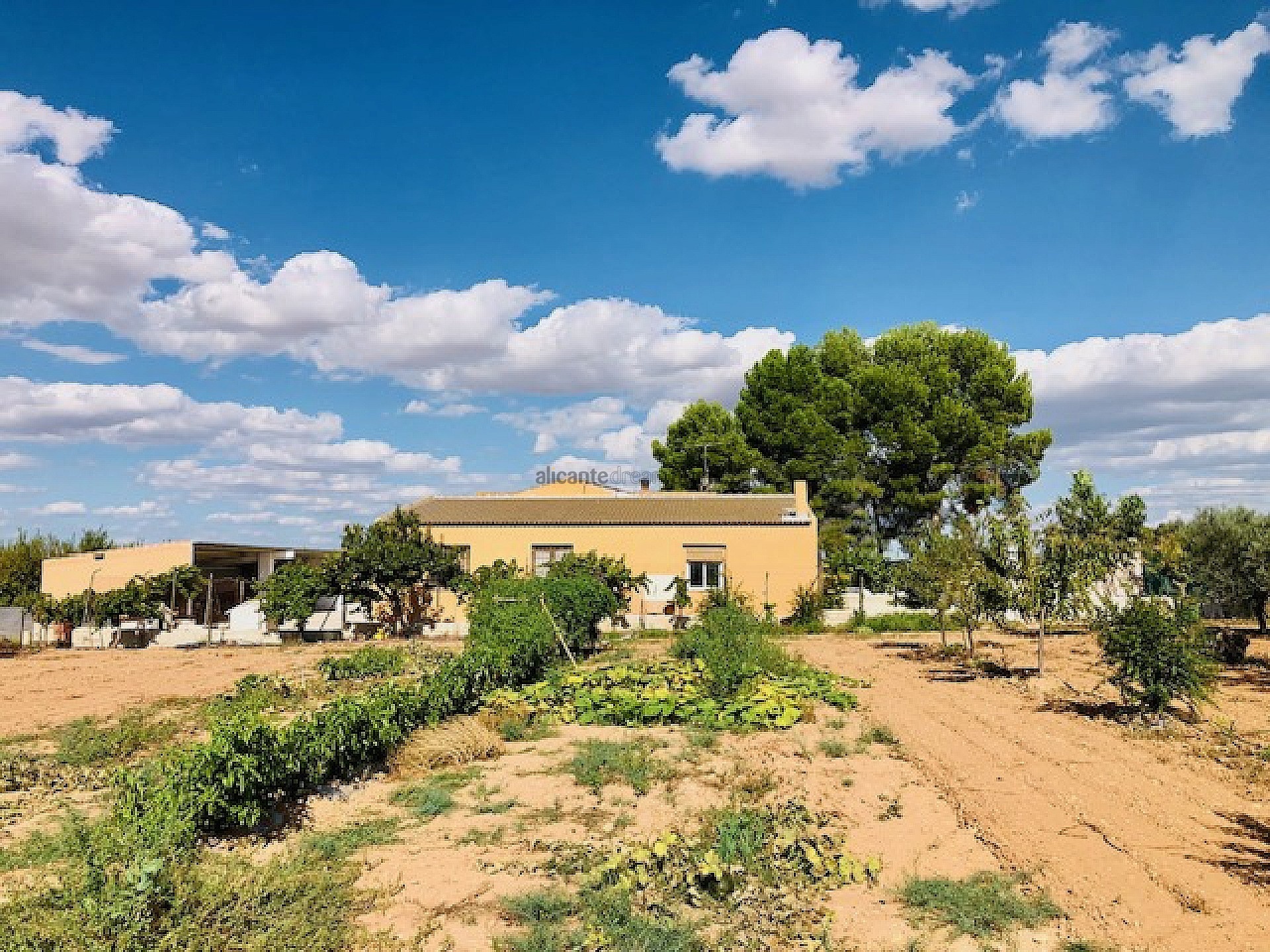 Resale - 4 Bedroom 1 Bathroom Country house in Yecla -  - Murcia