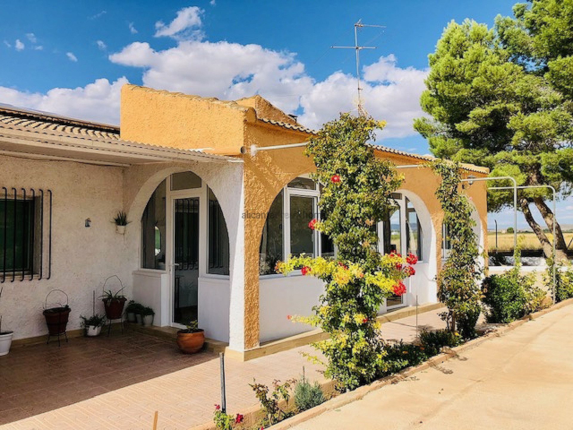 Resale - 4 Bedroom 1 Bathroom Country house in Yecla -  - Murcia