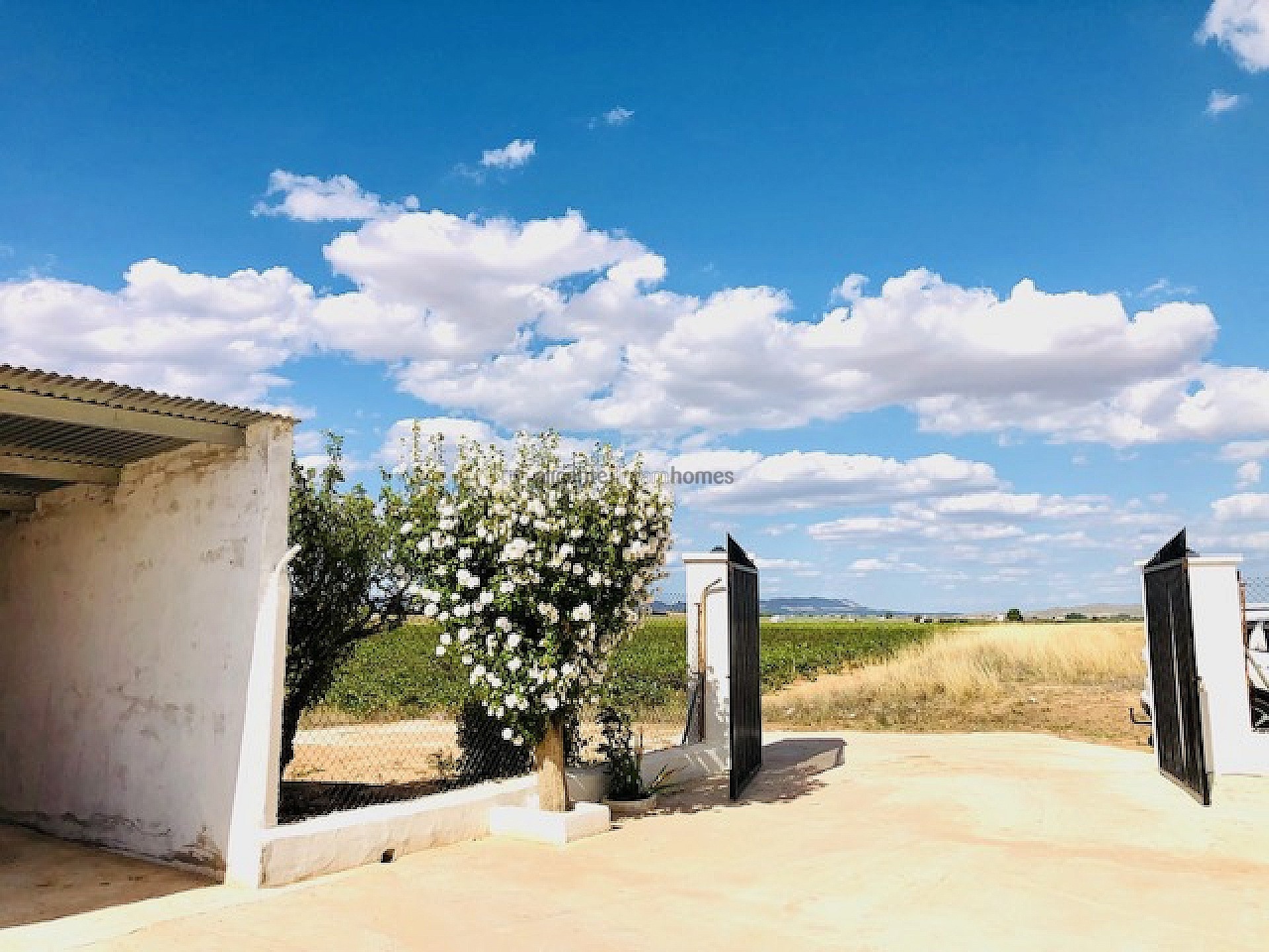 Resale - 4 Bedroom 1 Bathroom Country house in Yecla -  - Murcia