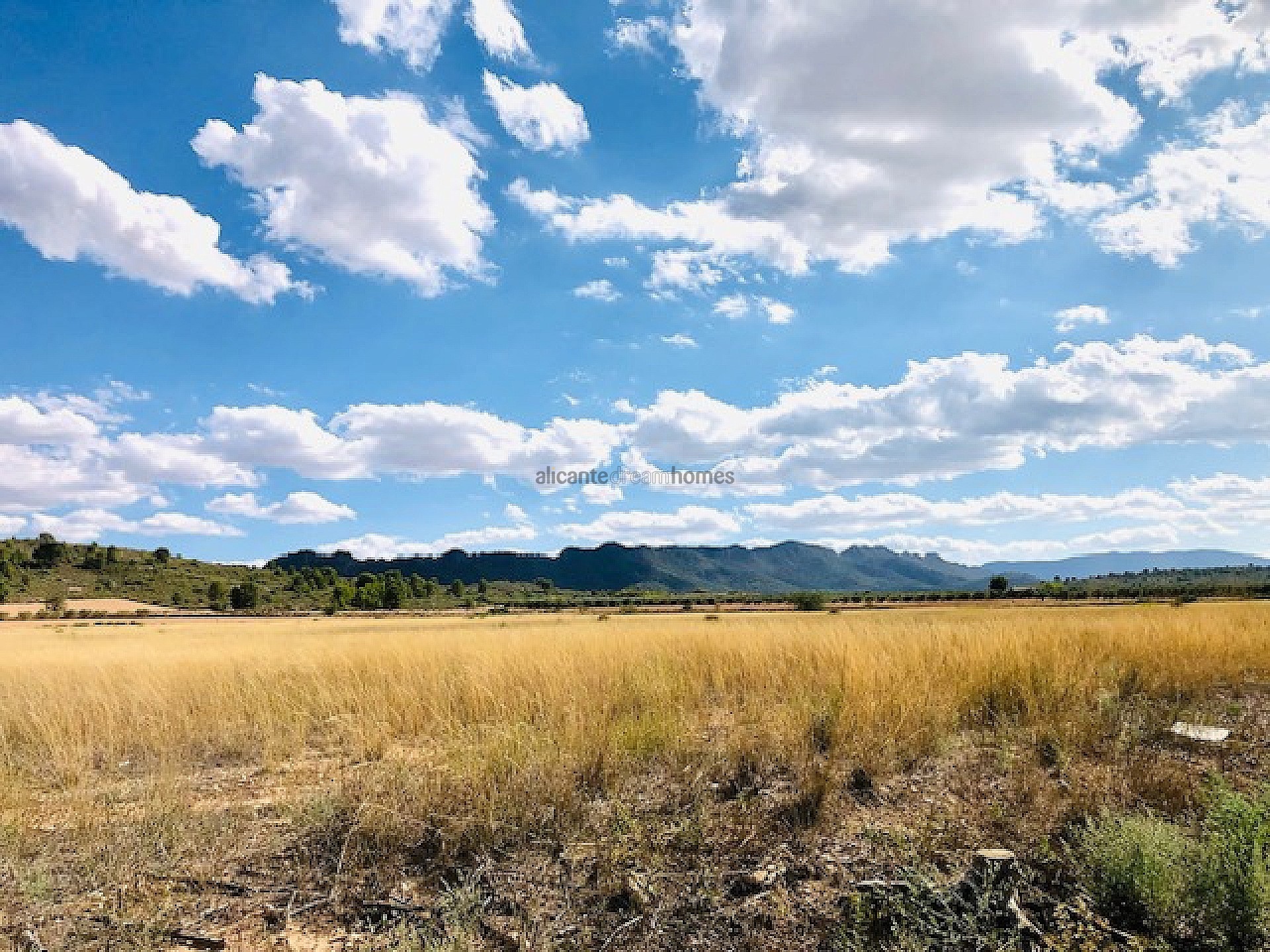 Resale - 4 Bedroom 1 Bathroom Country house in Yecla -  - Murcia