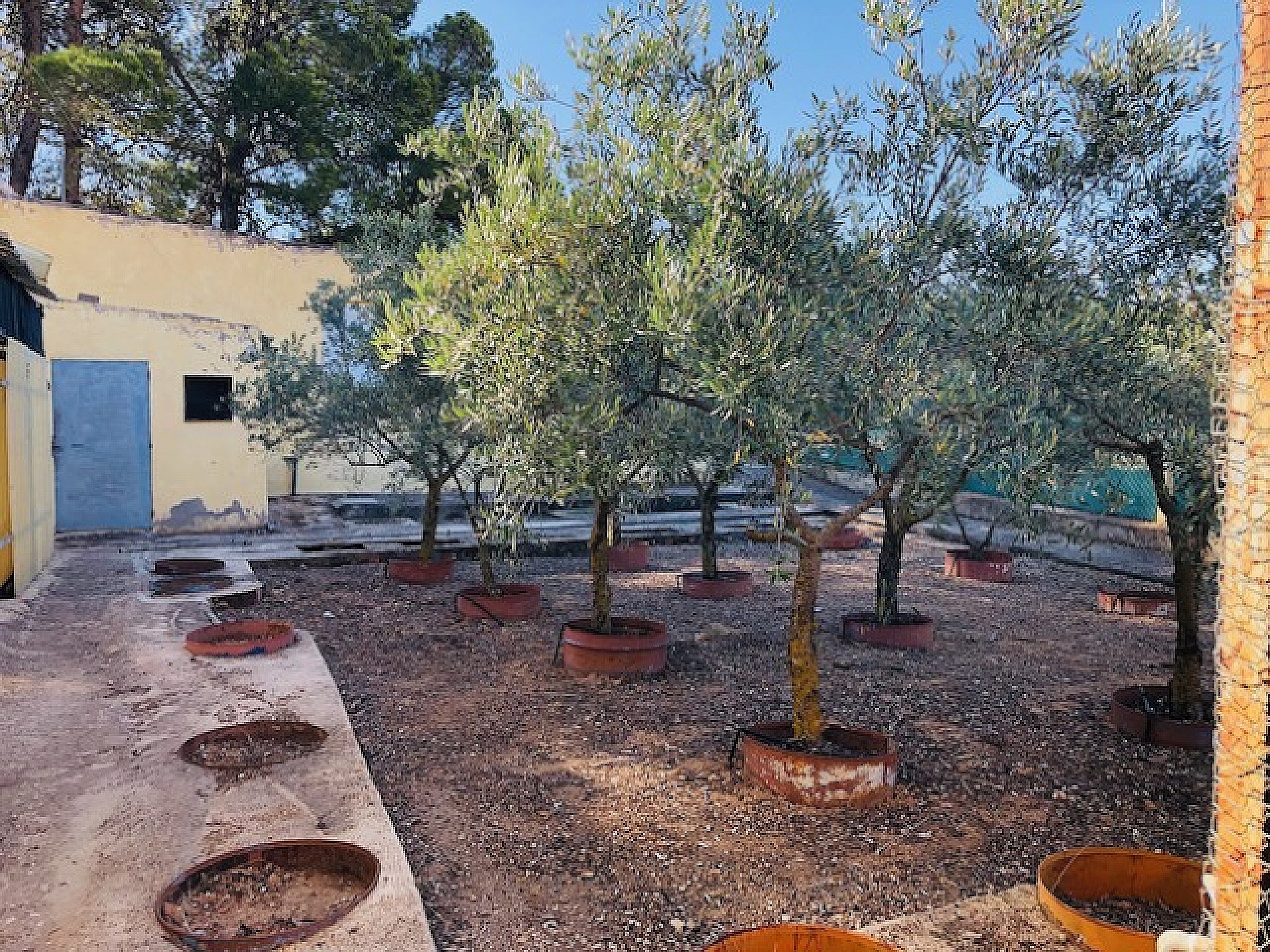 Resale - 4 Bedroom 1 Bathroom Country house in Yecla -  - Murcia
