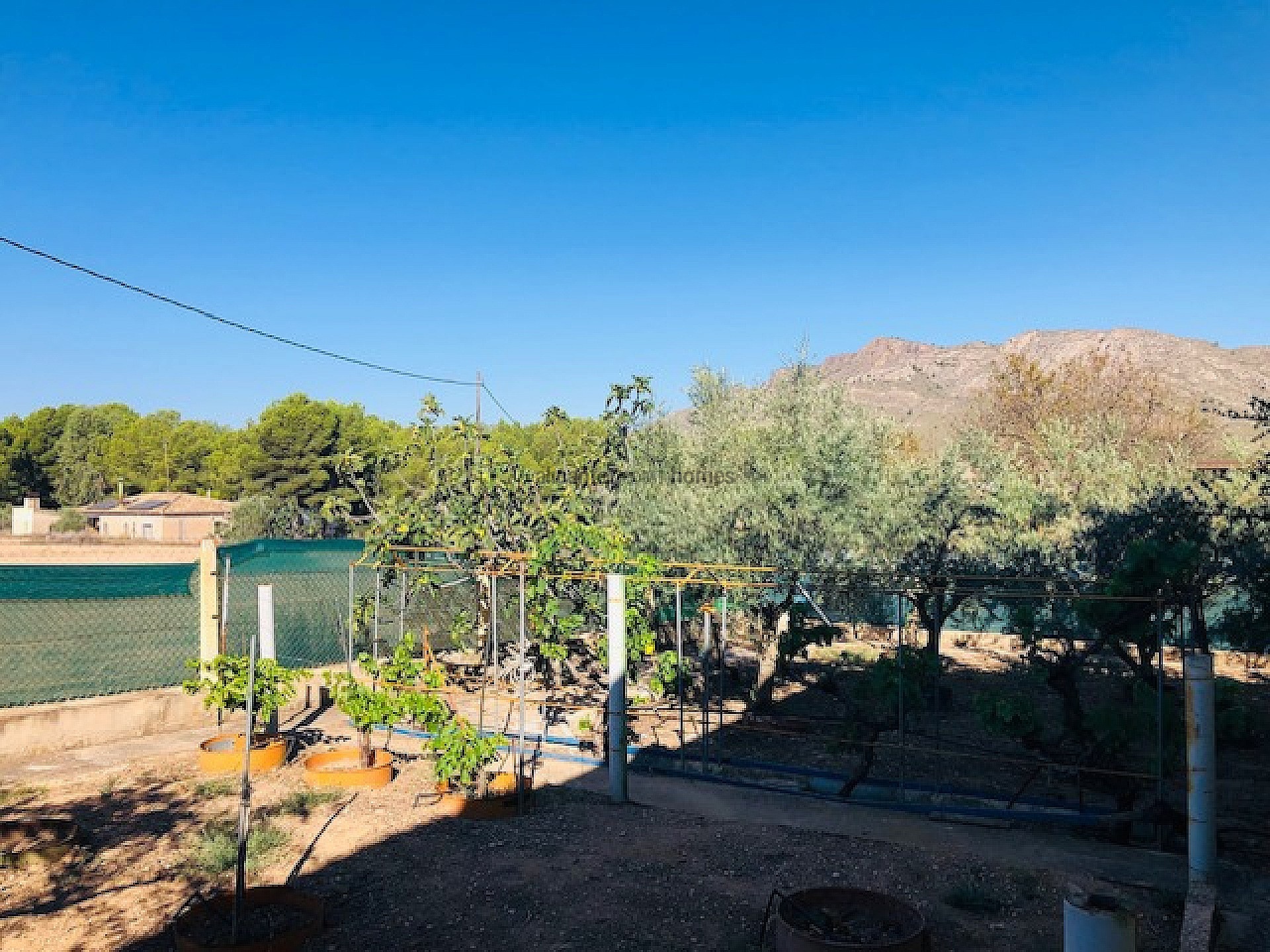 Resale - 4 Bedroom 1 Bathroom Country house in Yecla -  - Murcia