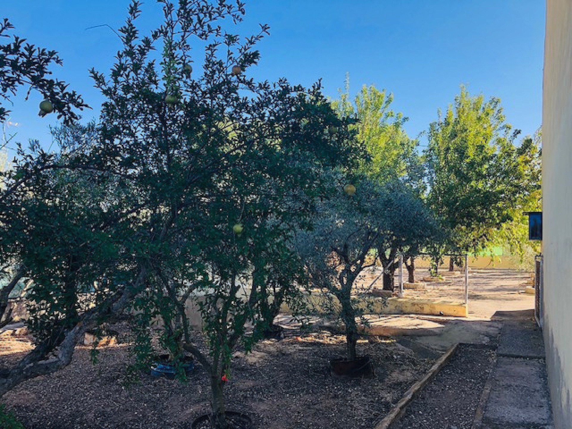 Resale - 4 Bedroom 1 Bathroom Country house in Yecla -  - Murcia