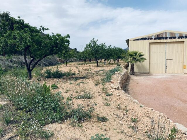 Resale - Land in La Romana -  - Alicante