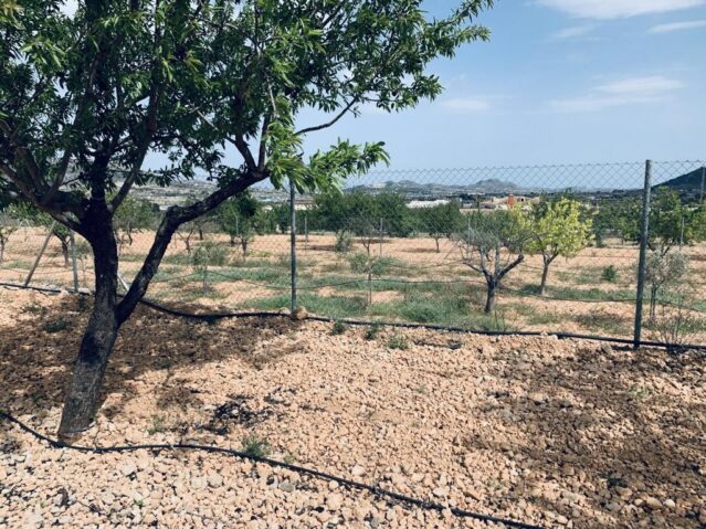 Resale - Land in La Romana -  - Alicante