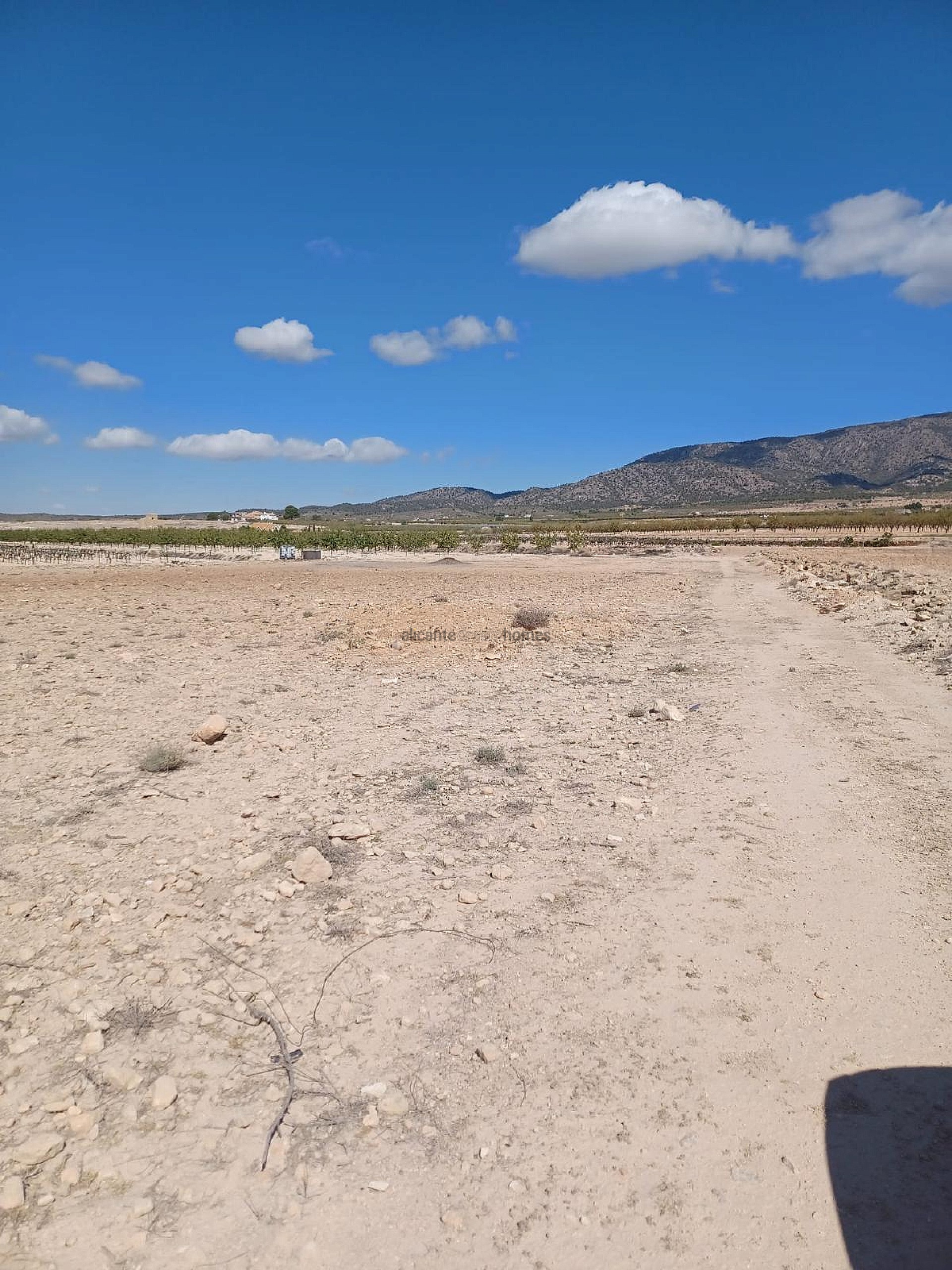 Resale - Land in Ubeda -  - Alicante