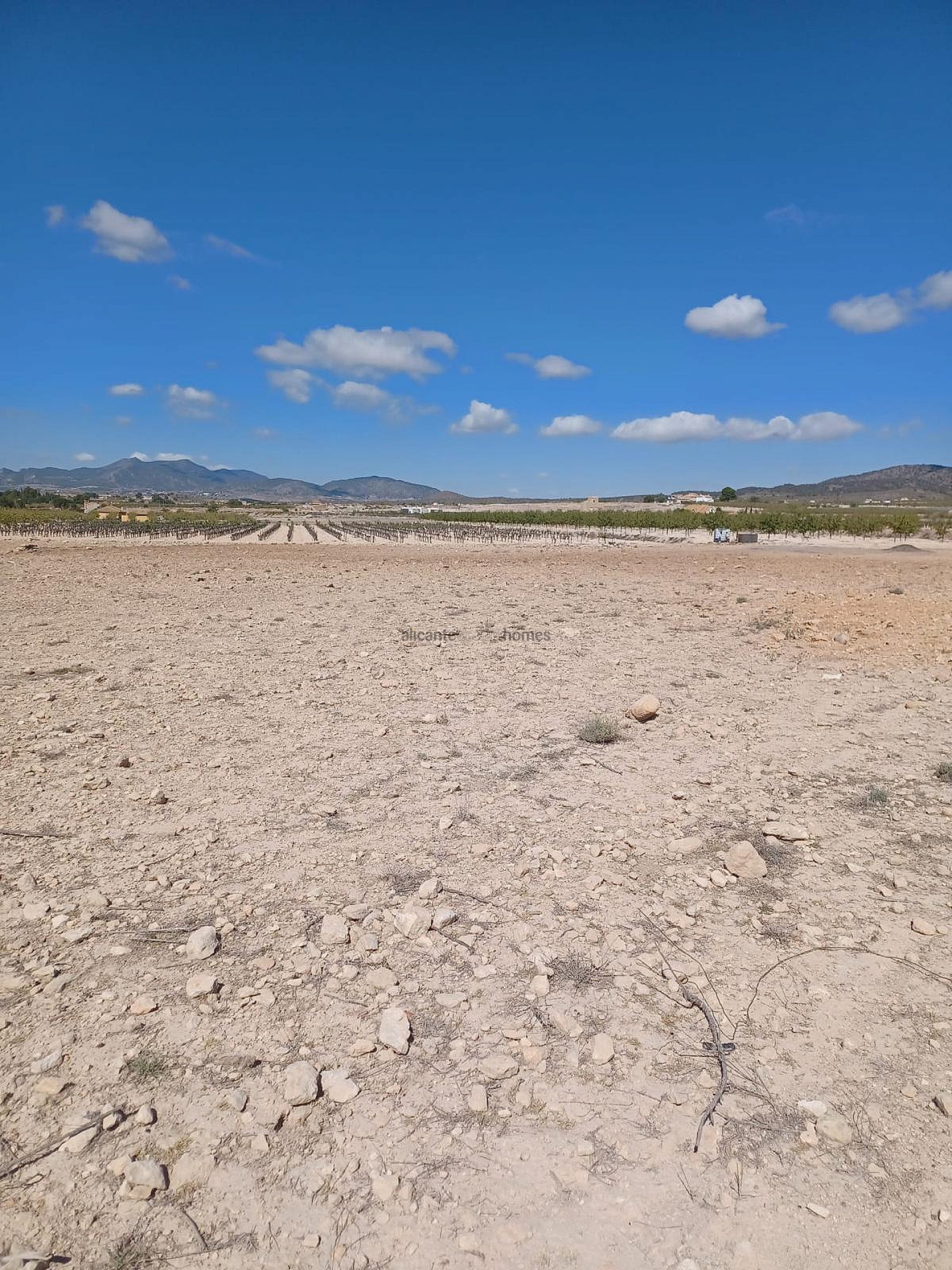 Resale - Land in Ubeda -  - Alicante