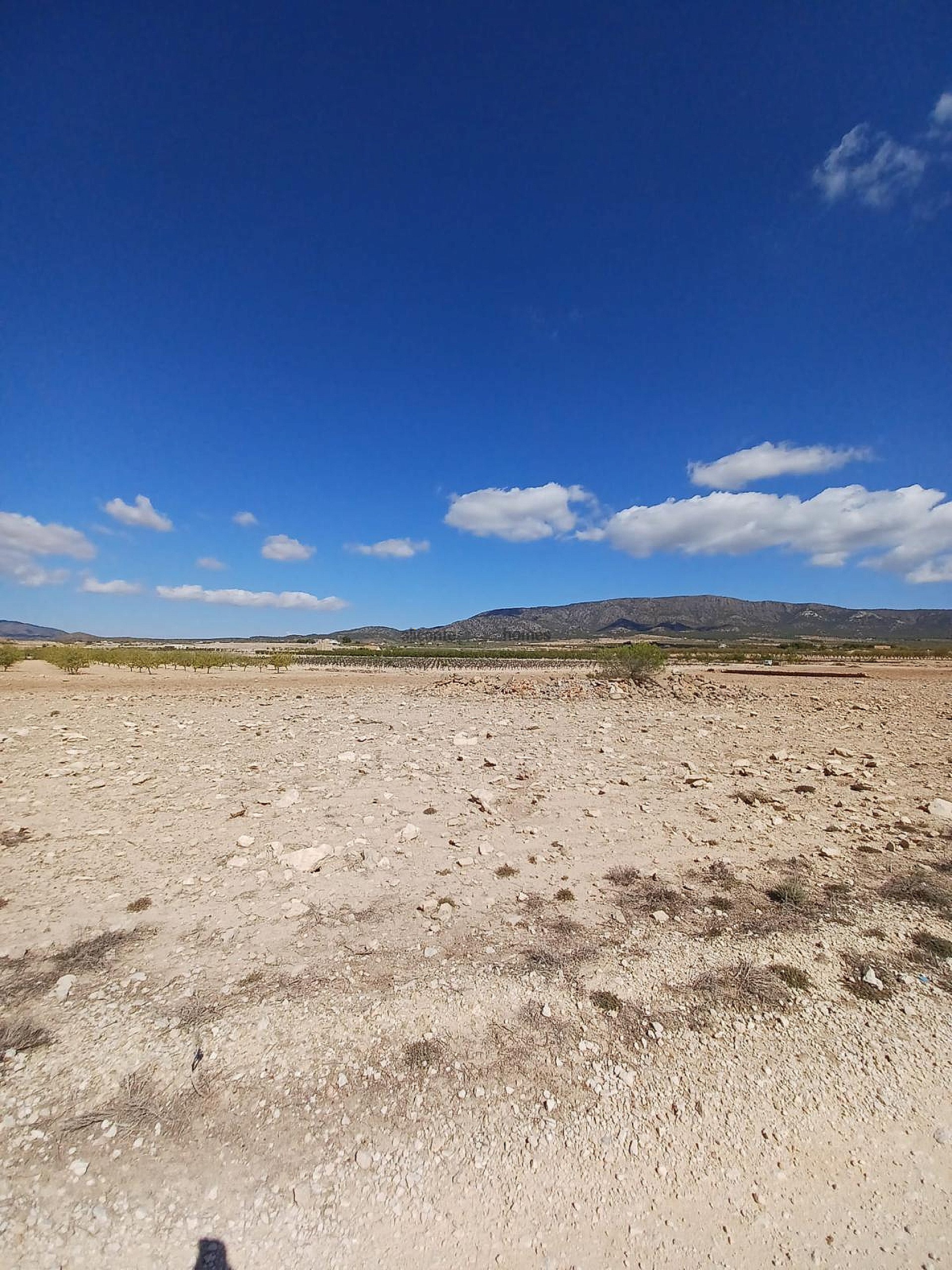 Resale - Land in Ubeda -  - Alicante