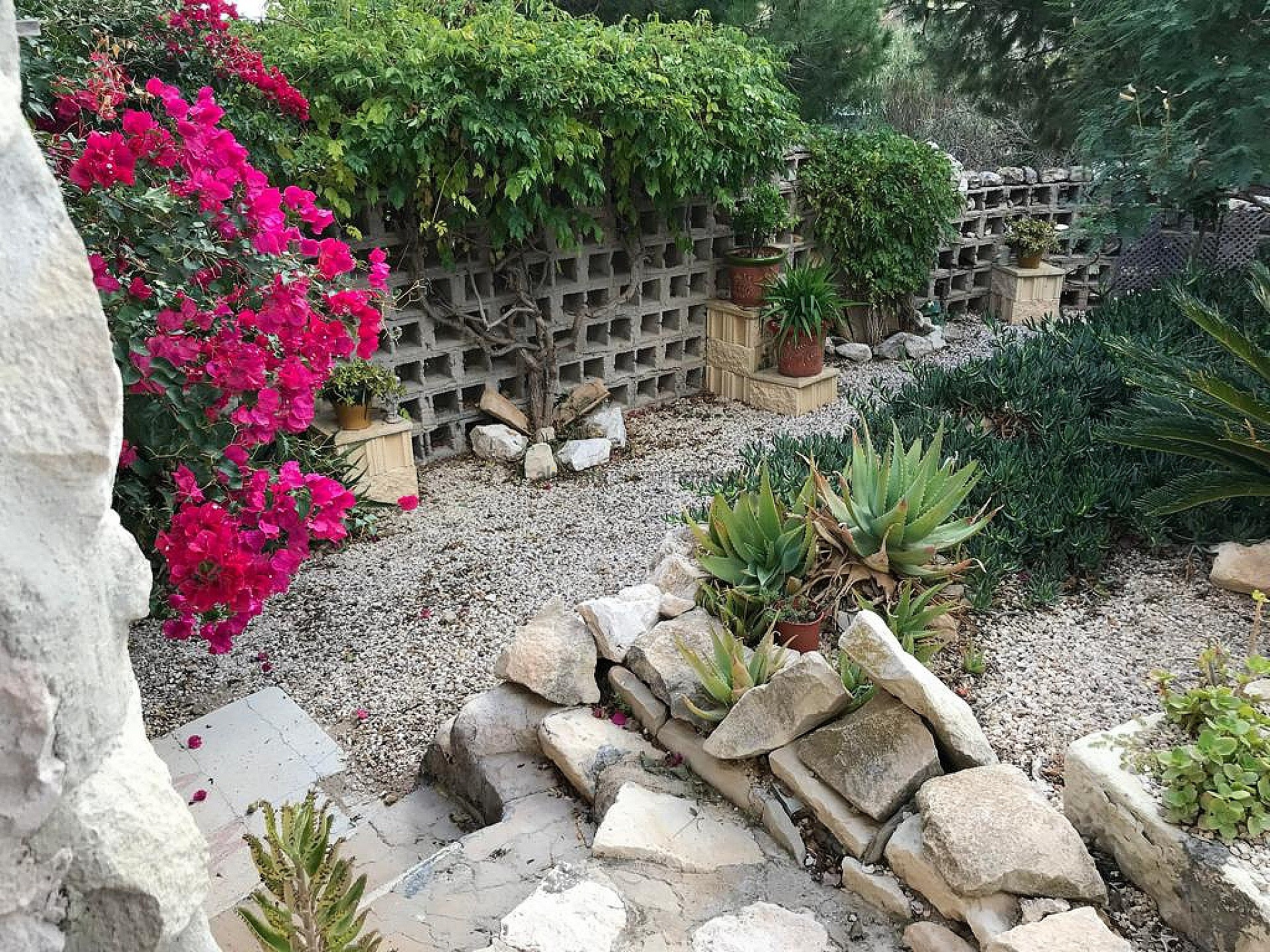 Resale - 6 Bedroom 2 Bathroom Finca in La Romana -  - Alicante