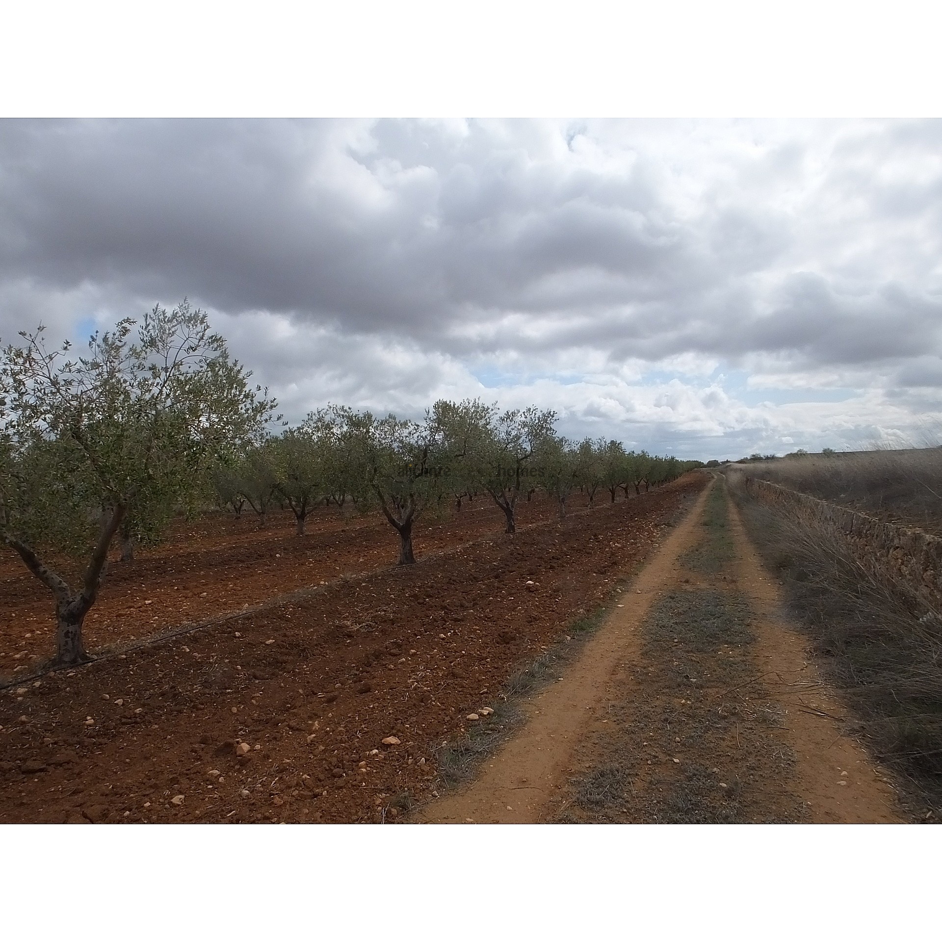 Resale - Land in Raspay -  - Murcia