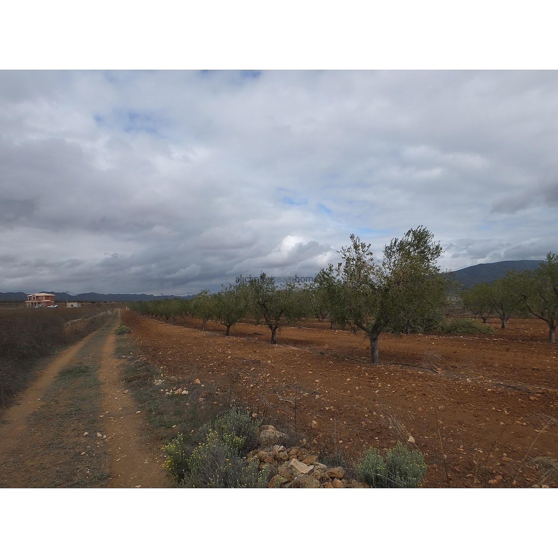 Resale - Land in Raspay -  - Murcia