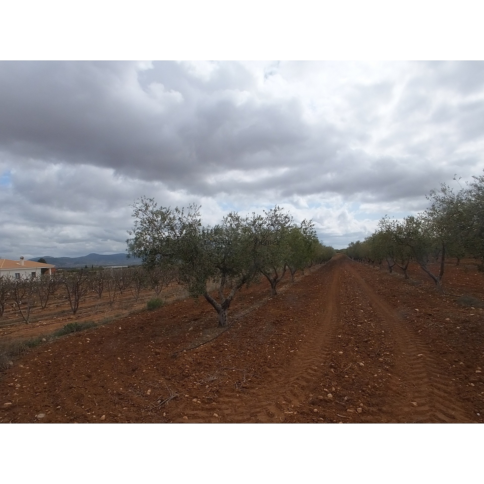 Resale - Land in Raspay -  - Murcia