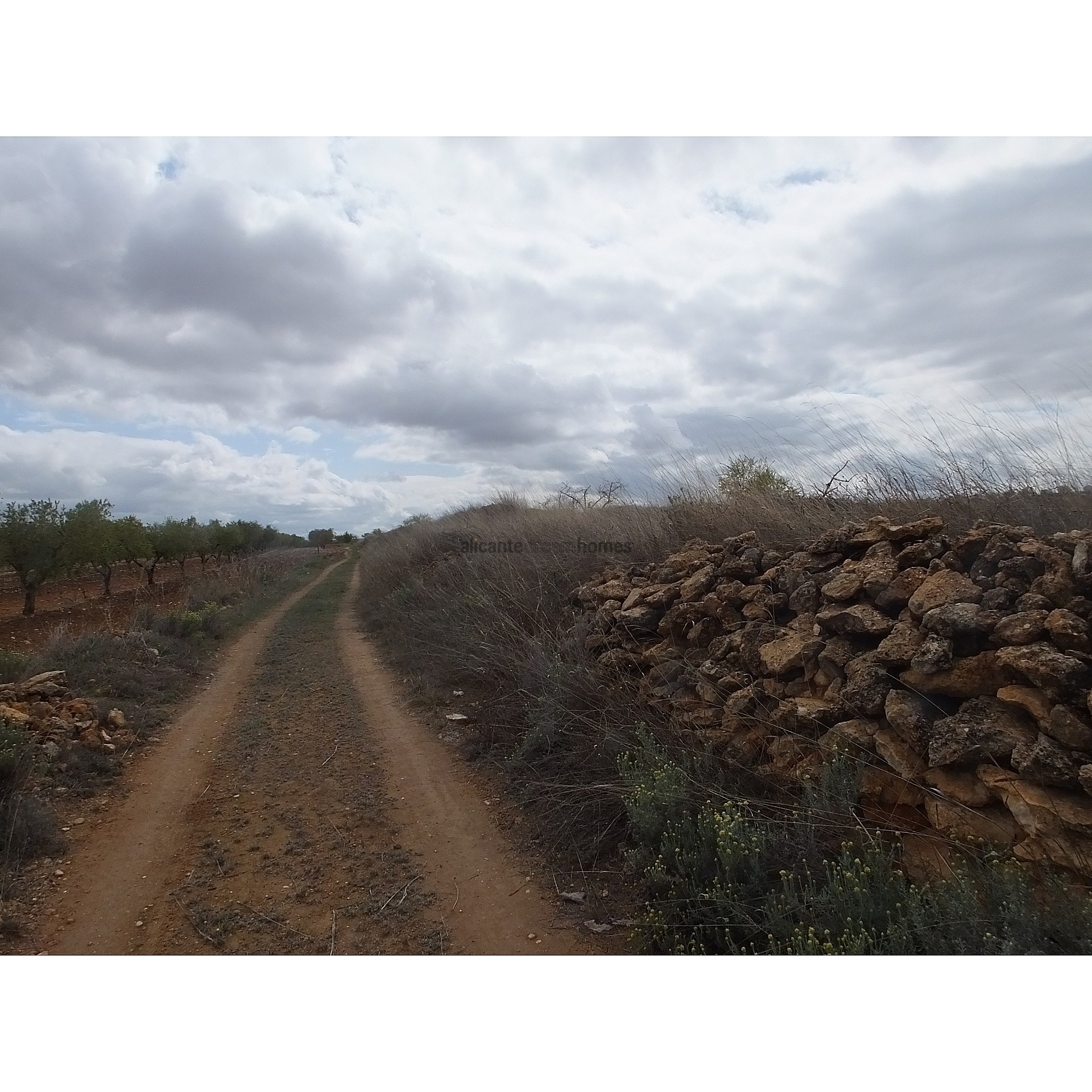 Resale - Land in Raspay -  - Murcia