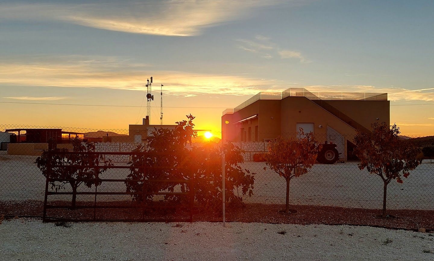 3 Bedroom 3 Bathroom Estate in Pinoso
